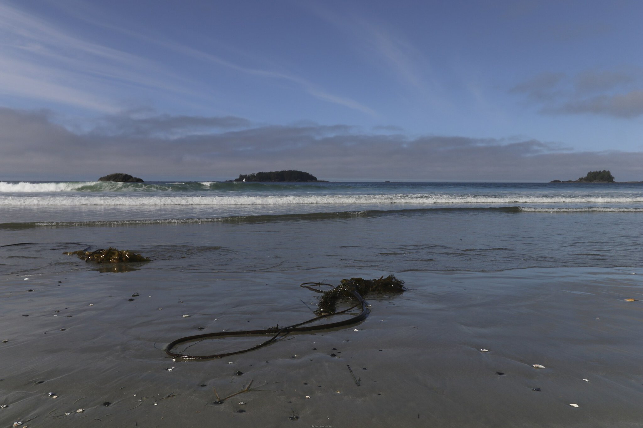 Tofino, Canada: 12 lucruri de văzut și făcut (surf, storm watching, Pacific Rim) 1 Panoramă a plajei Long Beach de pe Vancouver Island, lângă Tofino