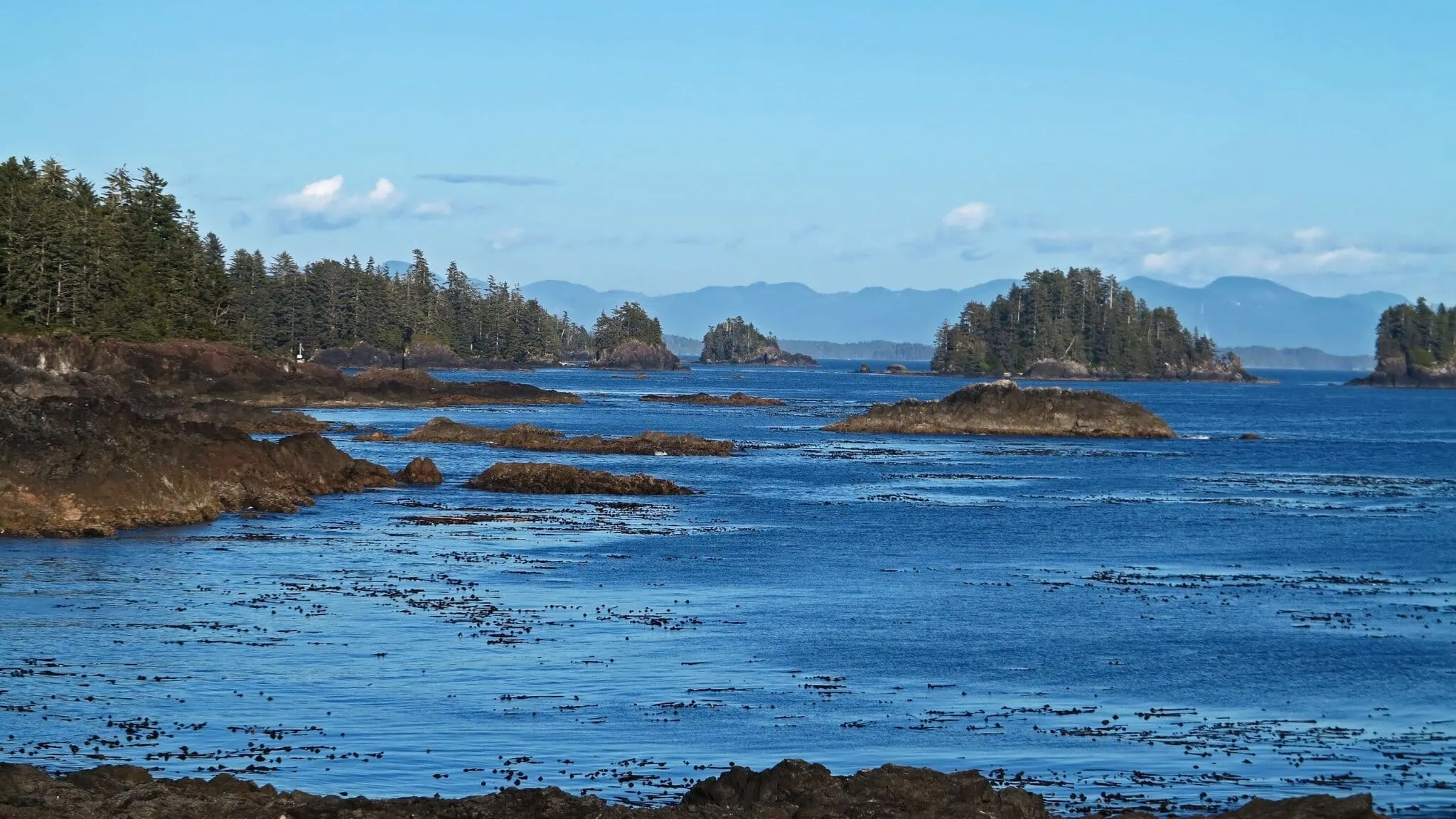 Tofino, Kanada: 12 tipů, co vidět a dělat (surf, storm watching, Pacific Rim) 13 Wild Pacific Trail u Uclueletu, pobřežní vyhlídka