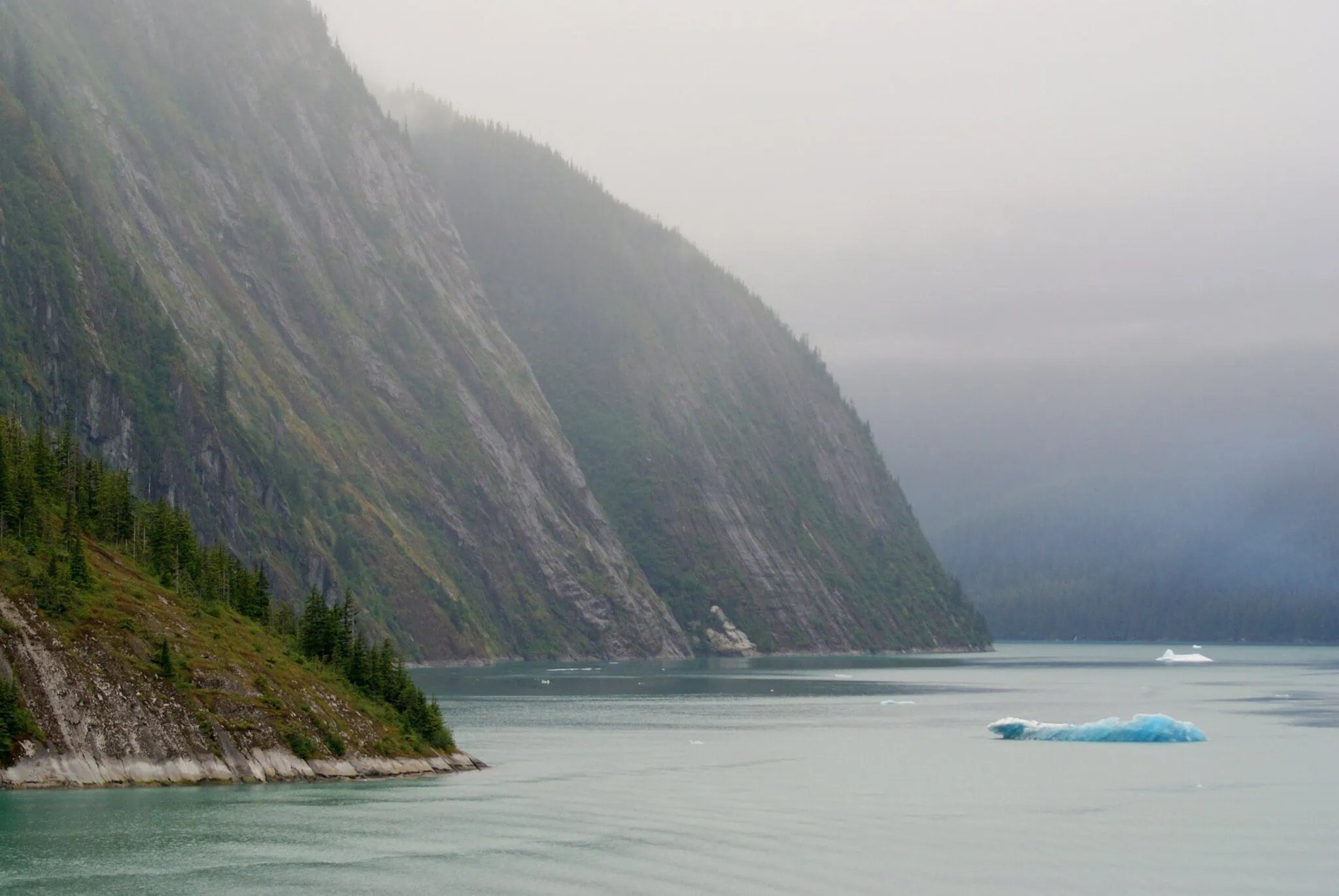 Expedición en barco por el fiordo Tracy Arm
