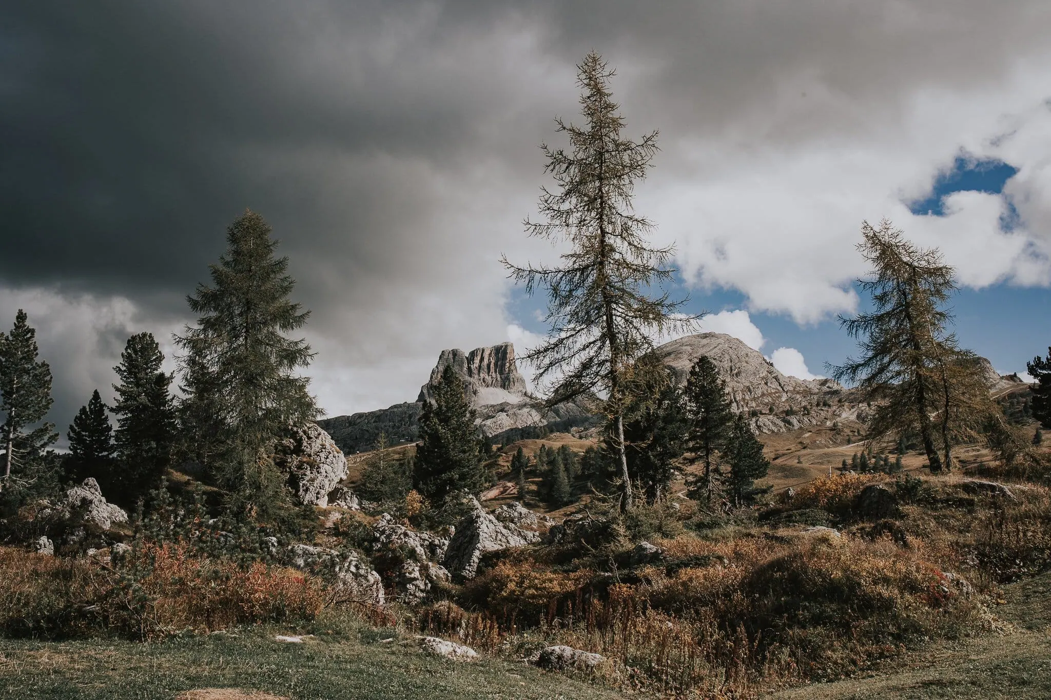 Zlaté podzimní modříny a skalní štíty Dolomit