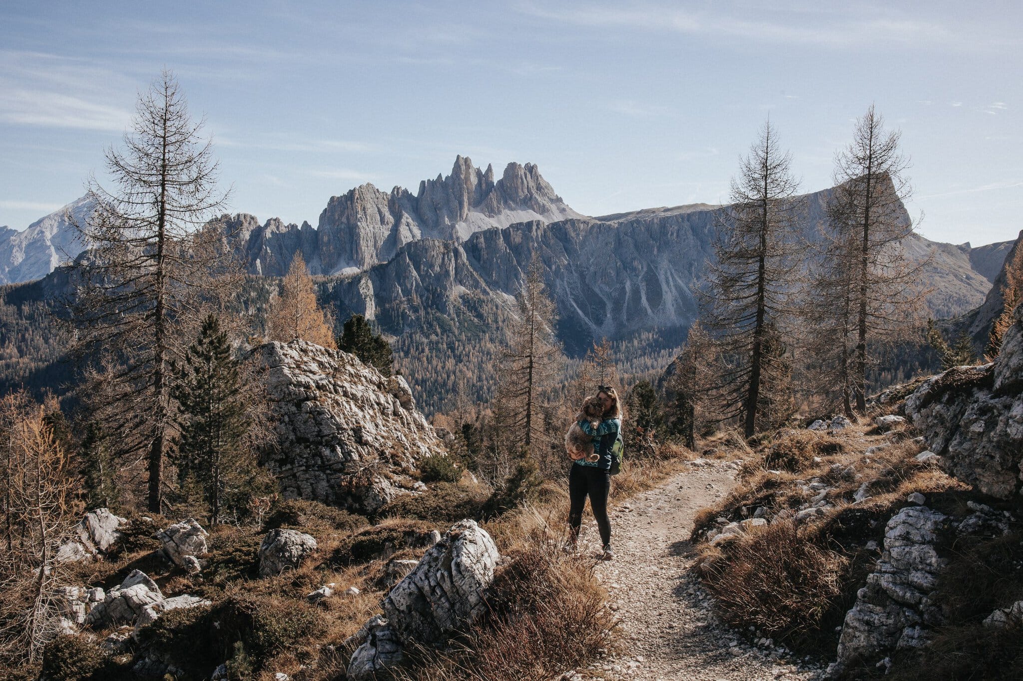 Drei Zinnen in Italien: 12 Tipps, was man sehen und unternehmen kann 11 Wanderweg zwischen Lärchen mit Blick auf die ikonischen Zinnen