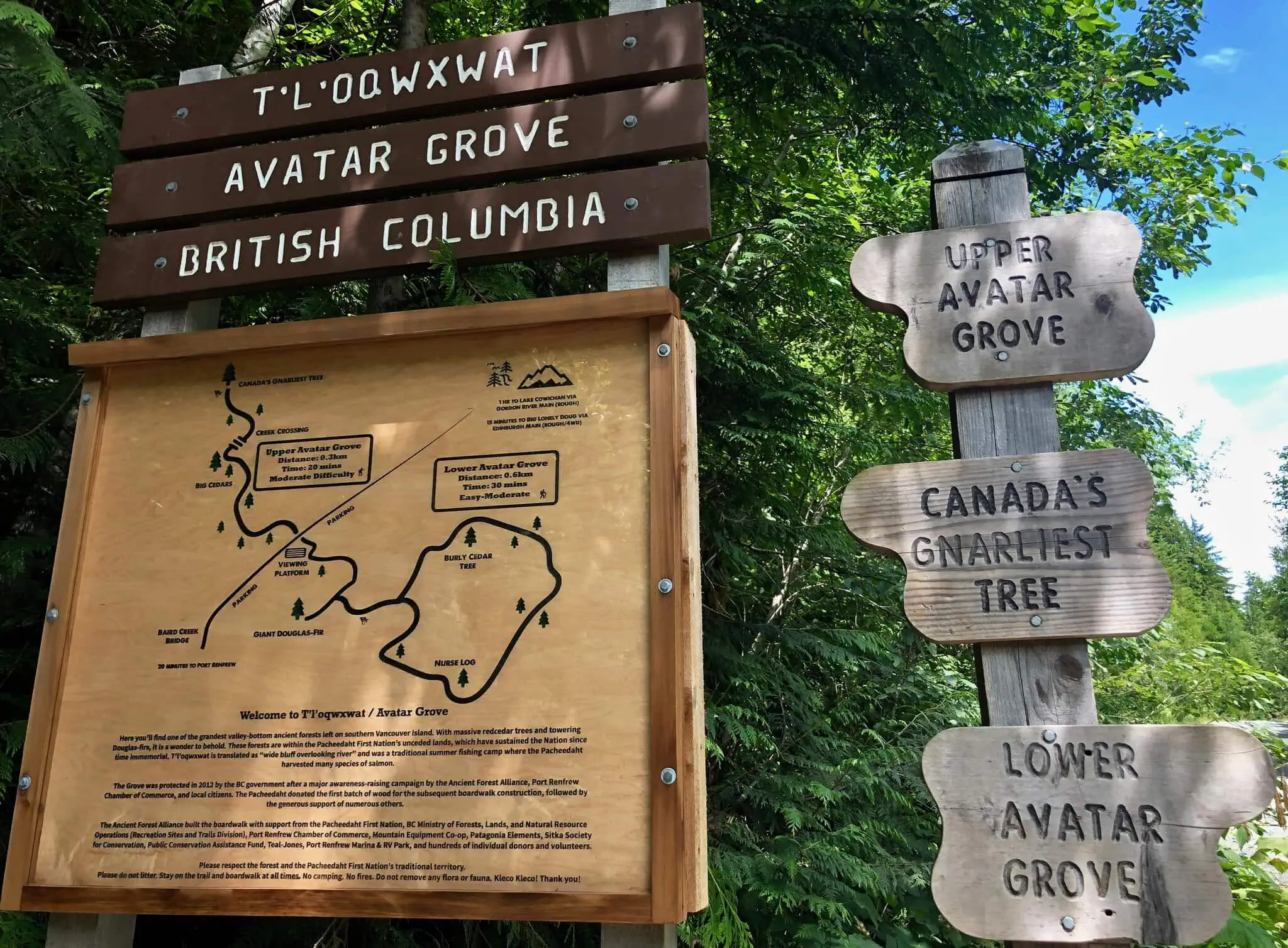 Pacific Marine Circle — Port Renfrew, Avatar Grove
