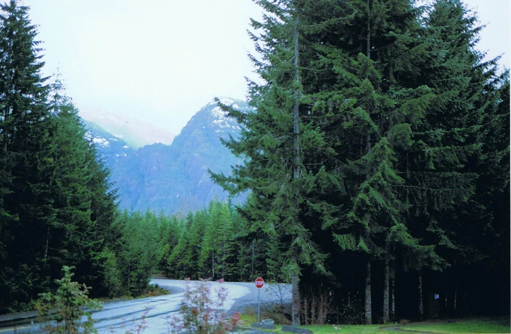 Strathcona Provincial Park — il parco più antico della Columbia Britannica