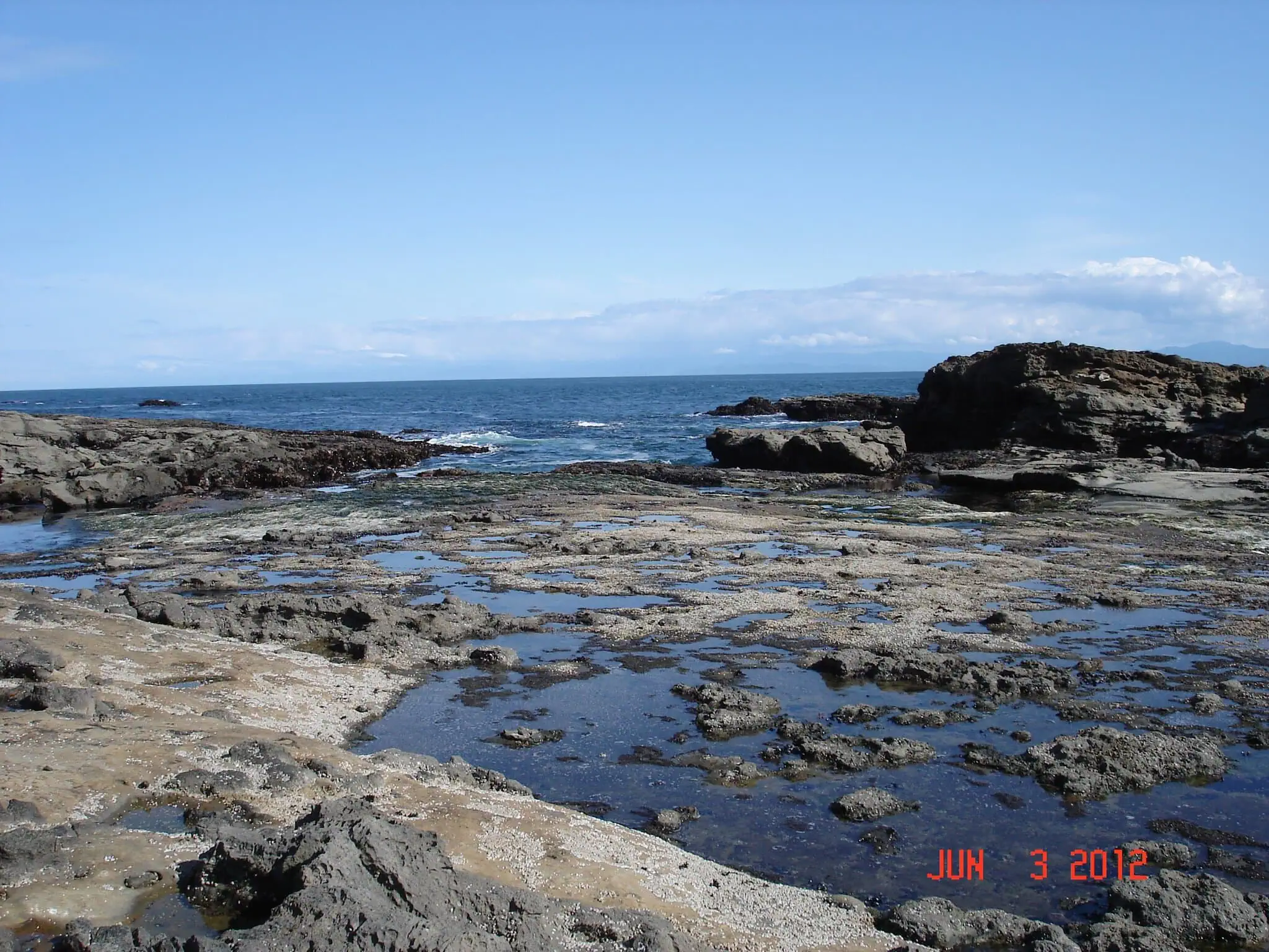 Botanical Beach vicino a Port Renfrew sul Pacific Marine Circle