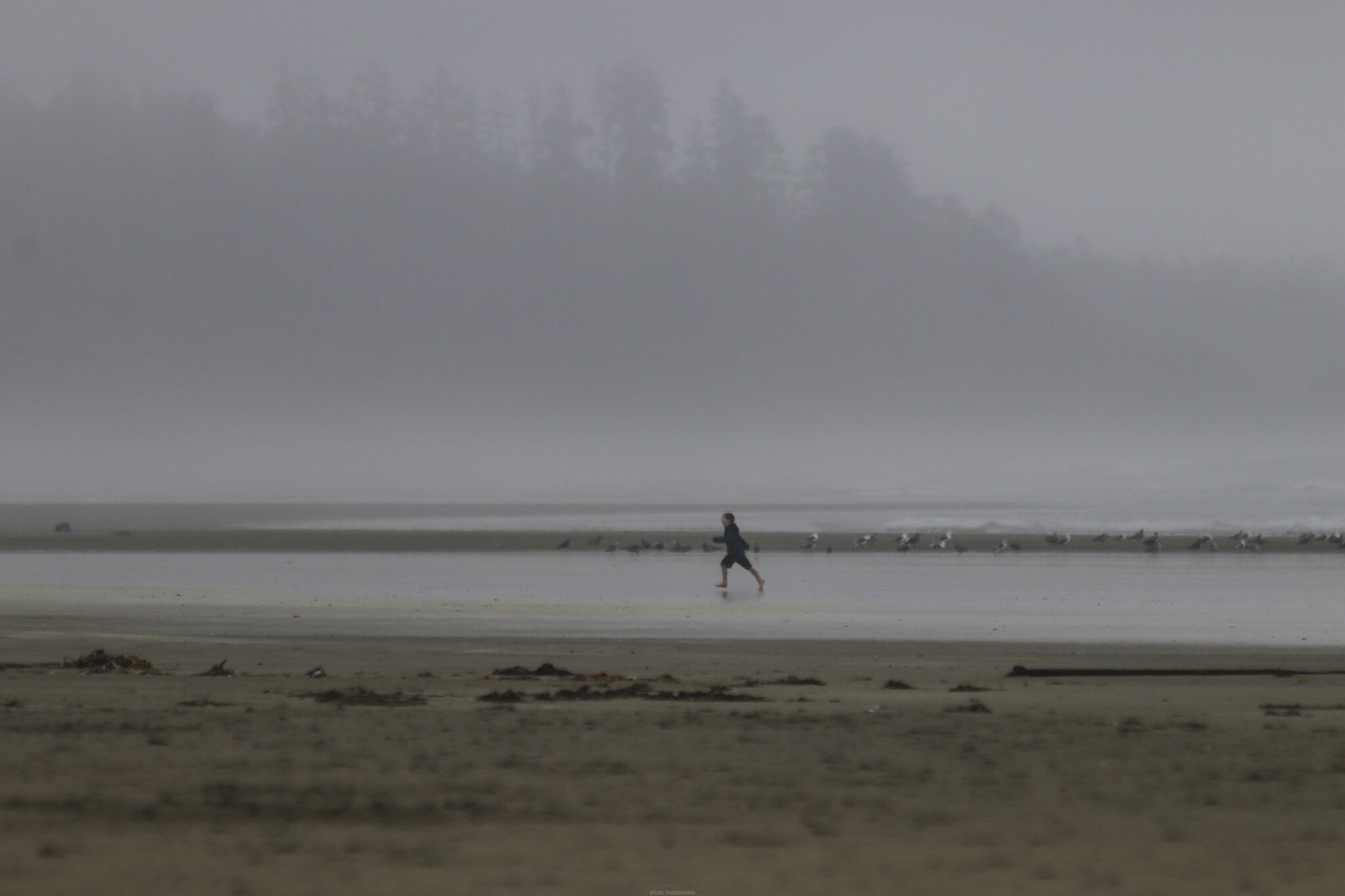 Insula Vancouver, Canada: circuit de 7 zile + 12 lucruri de văzut 6 Oceanul Pacific și plaja din Tofino cu valuri