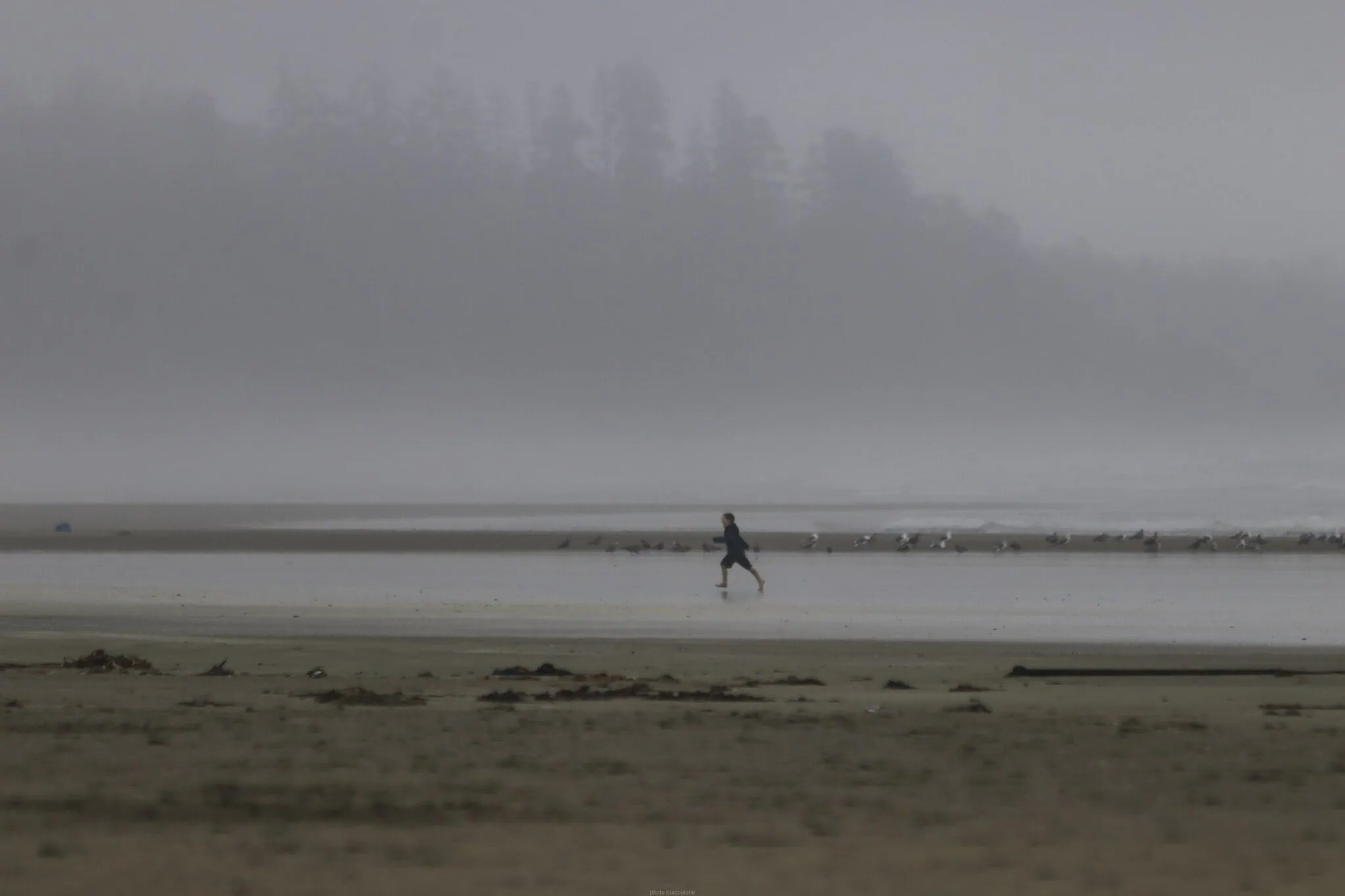 L'oceano Pacifico e la spiaggia di Tofino con le onde