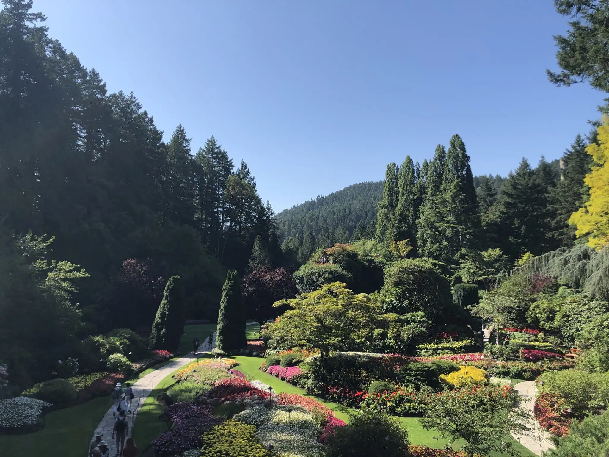 Květinová nádhera v zahradách Butchart Gardens