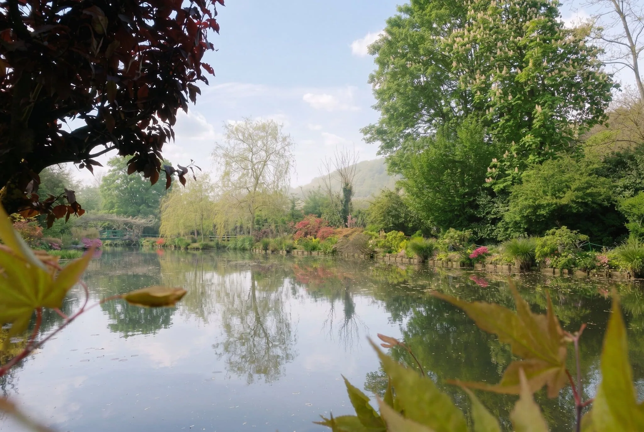 Monetova zahrada v Giverny s rybníkem a vrbami