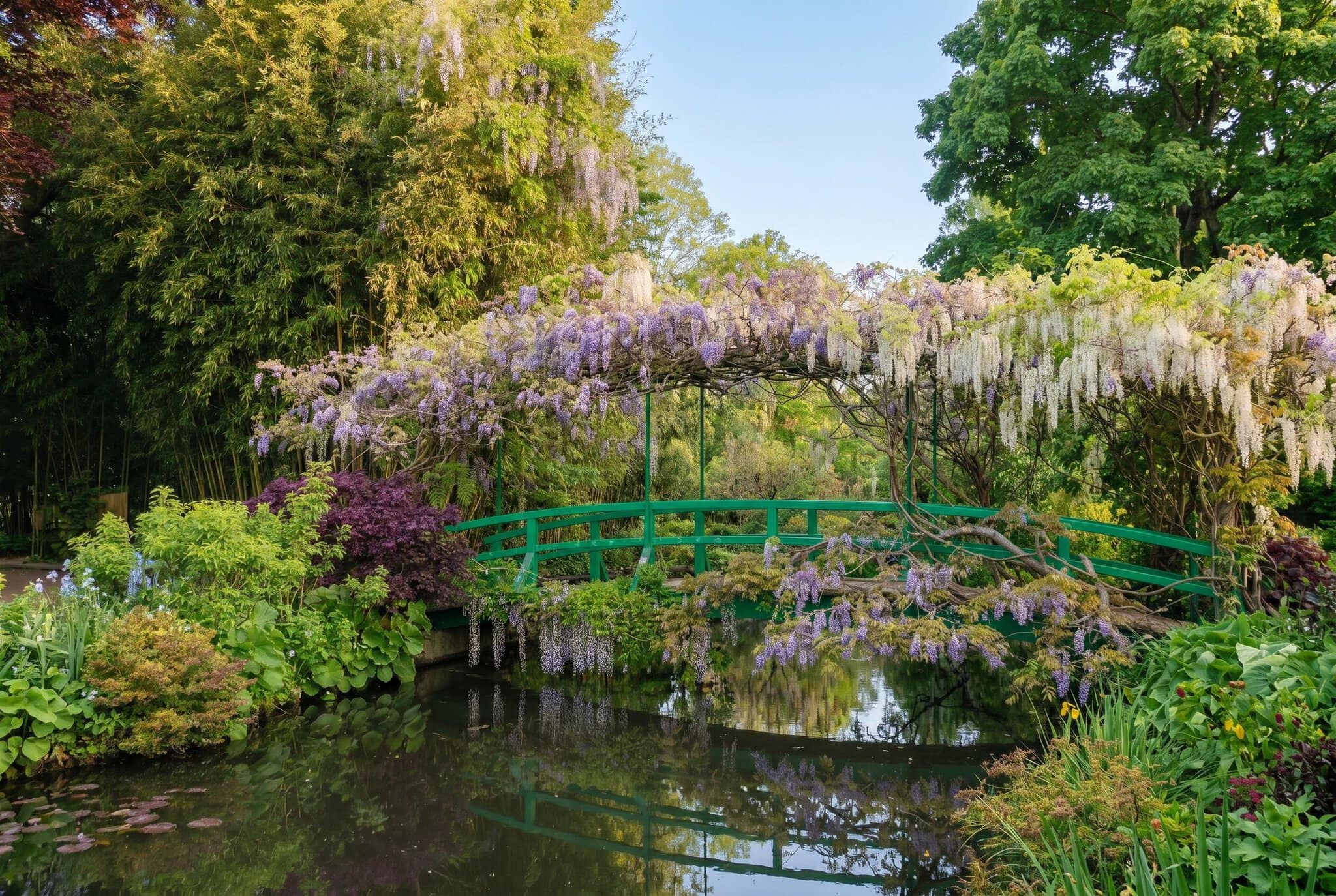 Utflykter från Paris: Versailles, Giverny, Chantilly och Fontainebleau 5 Damm med näckrosor i Monets trädgård i Giverny