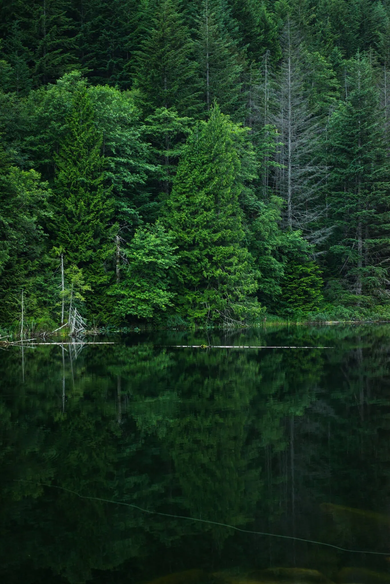 Whistler, Kanada: 12 Tipps – Sehenswürdigkeiten & Aktivitäten (Sommer & Winter) 12 Türkisfarbener Brohm Lake an der Sea-to-Sky Highway