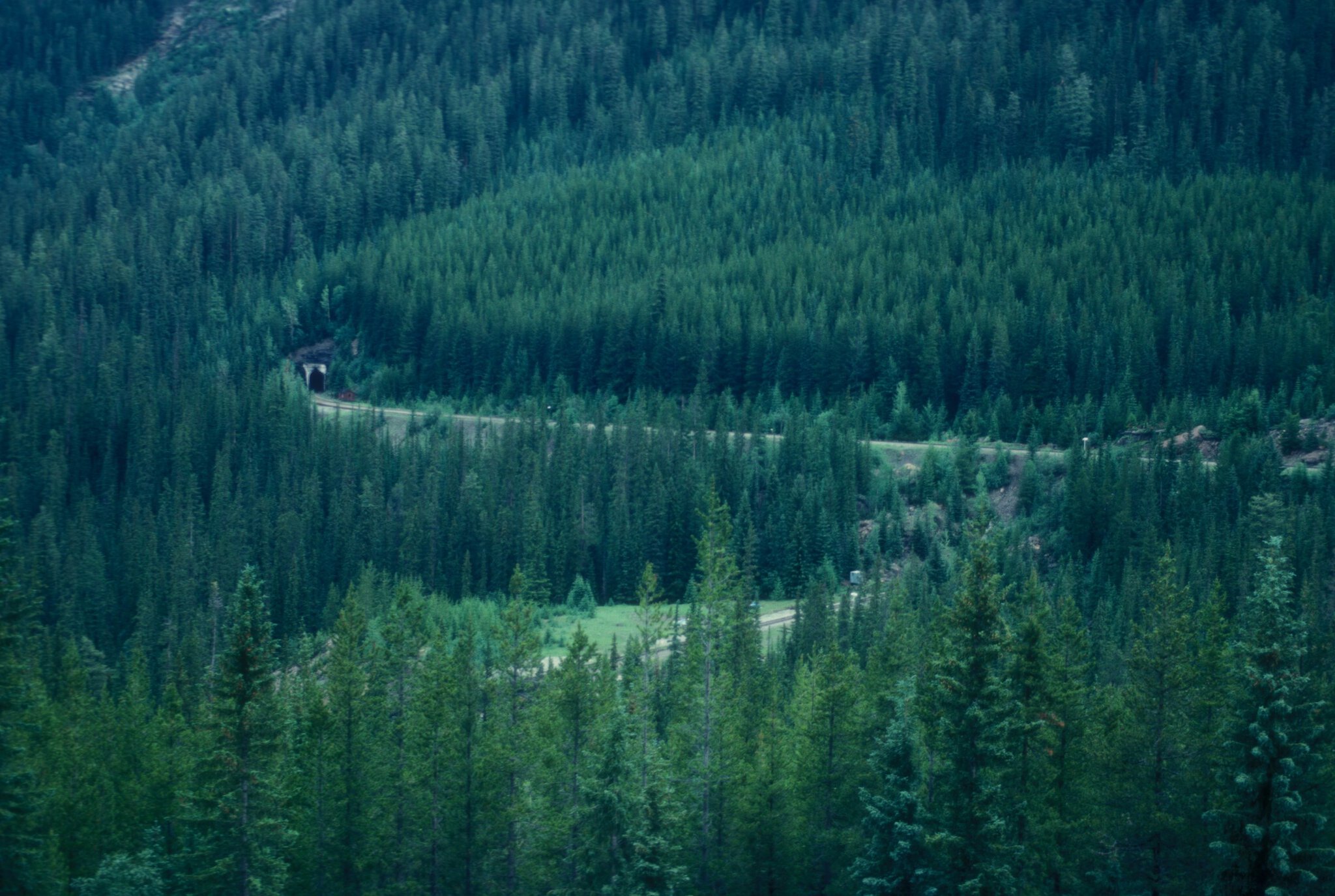 Parcul Național Yoho, Canada: 10 lucruri de văzut și făcut (Emerald Lake, Takakkaw) 10 Spiral Tunnels — minunea inginerească din Kicking Horse Pass
