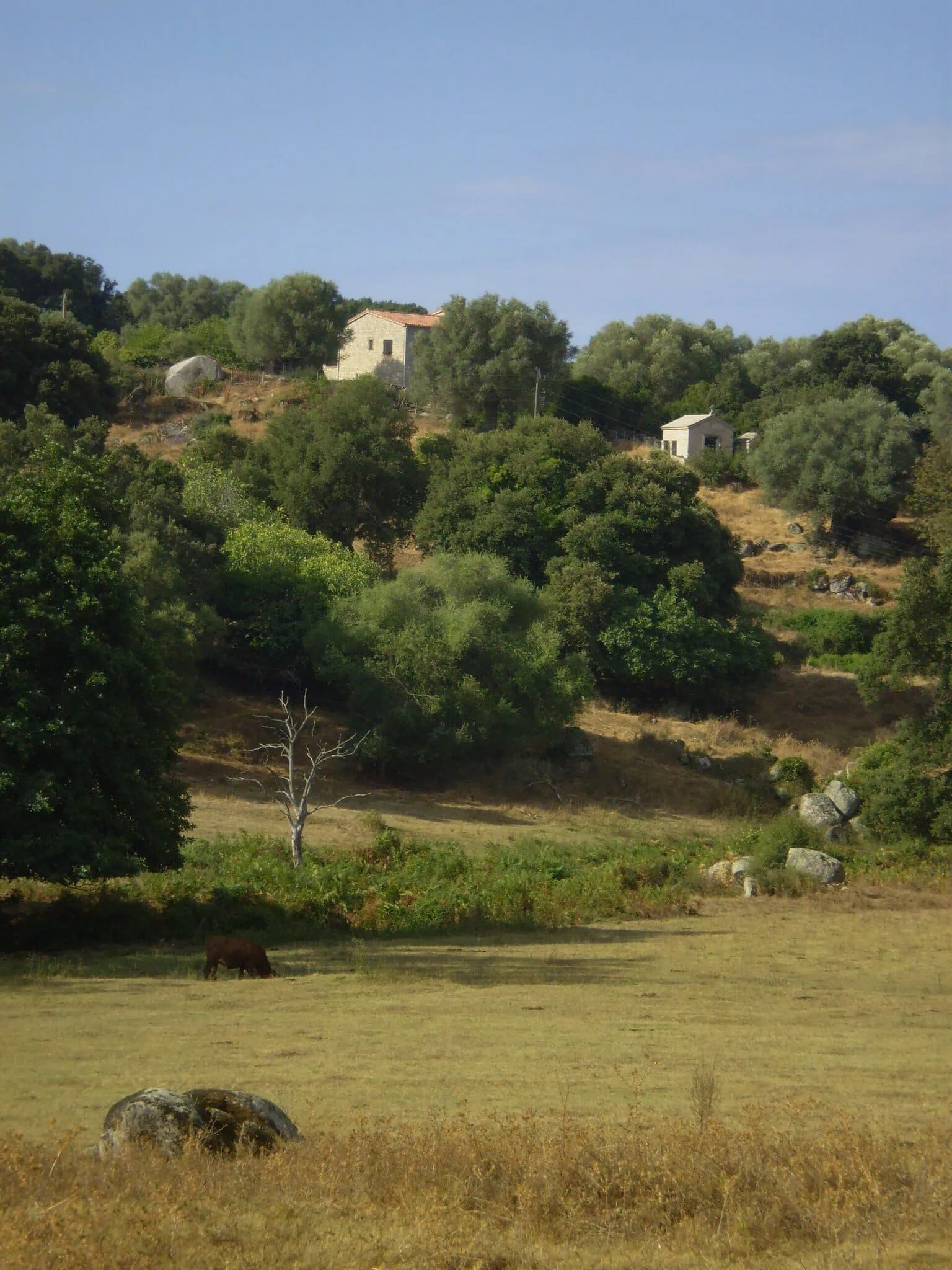 GR20 Corsica Trek: 11 Tips for Europe's Toughest Hike in 2026 4 11 tips to know before the GR20 in Corsica