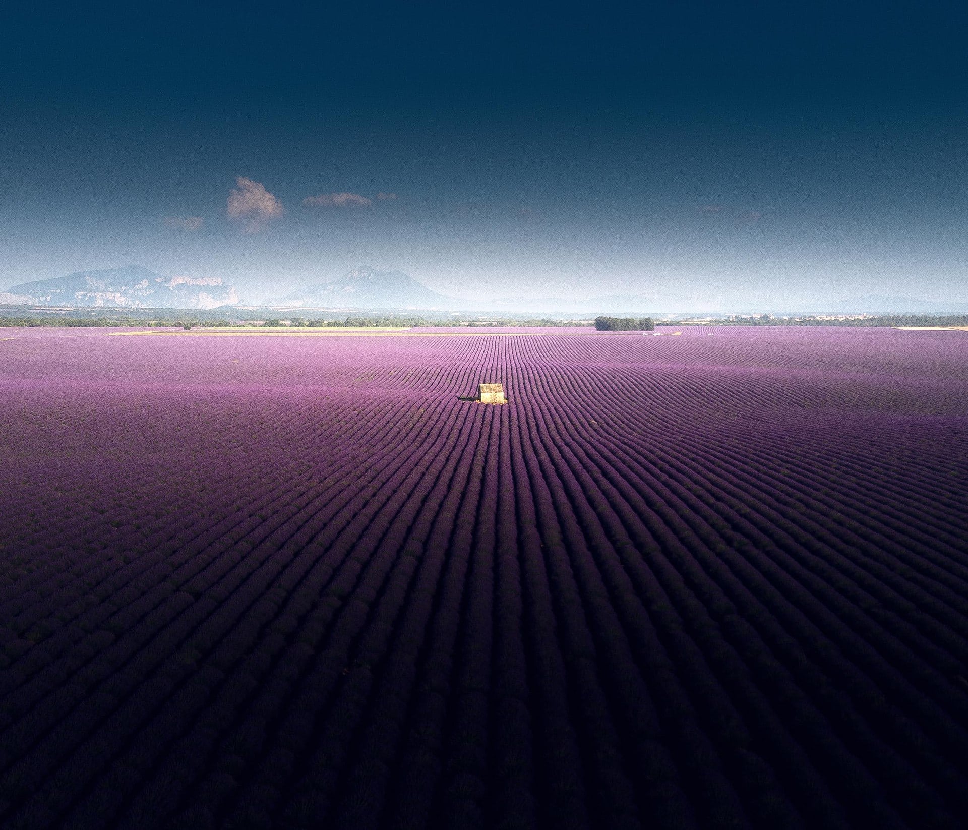 Provence, Franța: 14 idei ce să vezi și să faci în 2026 2 Câmpuri de lavandă pe platoul Valensole