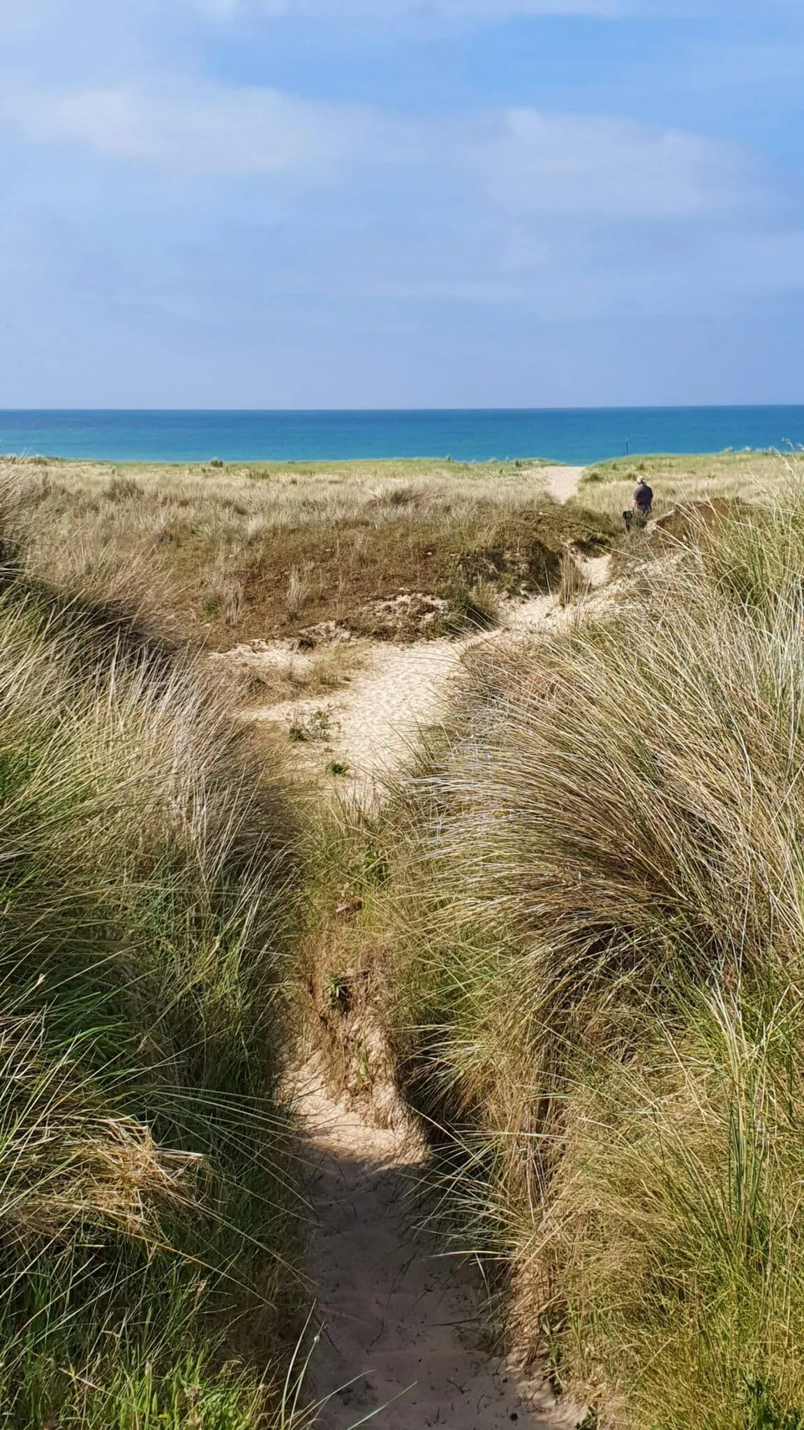 Lądowanie w Normandii (D-Day): 12 miejsc, które warto zobaczyć 8 Piaszczyste wydmy i sciezka na plazy Utah Beach