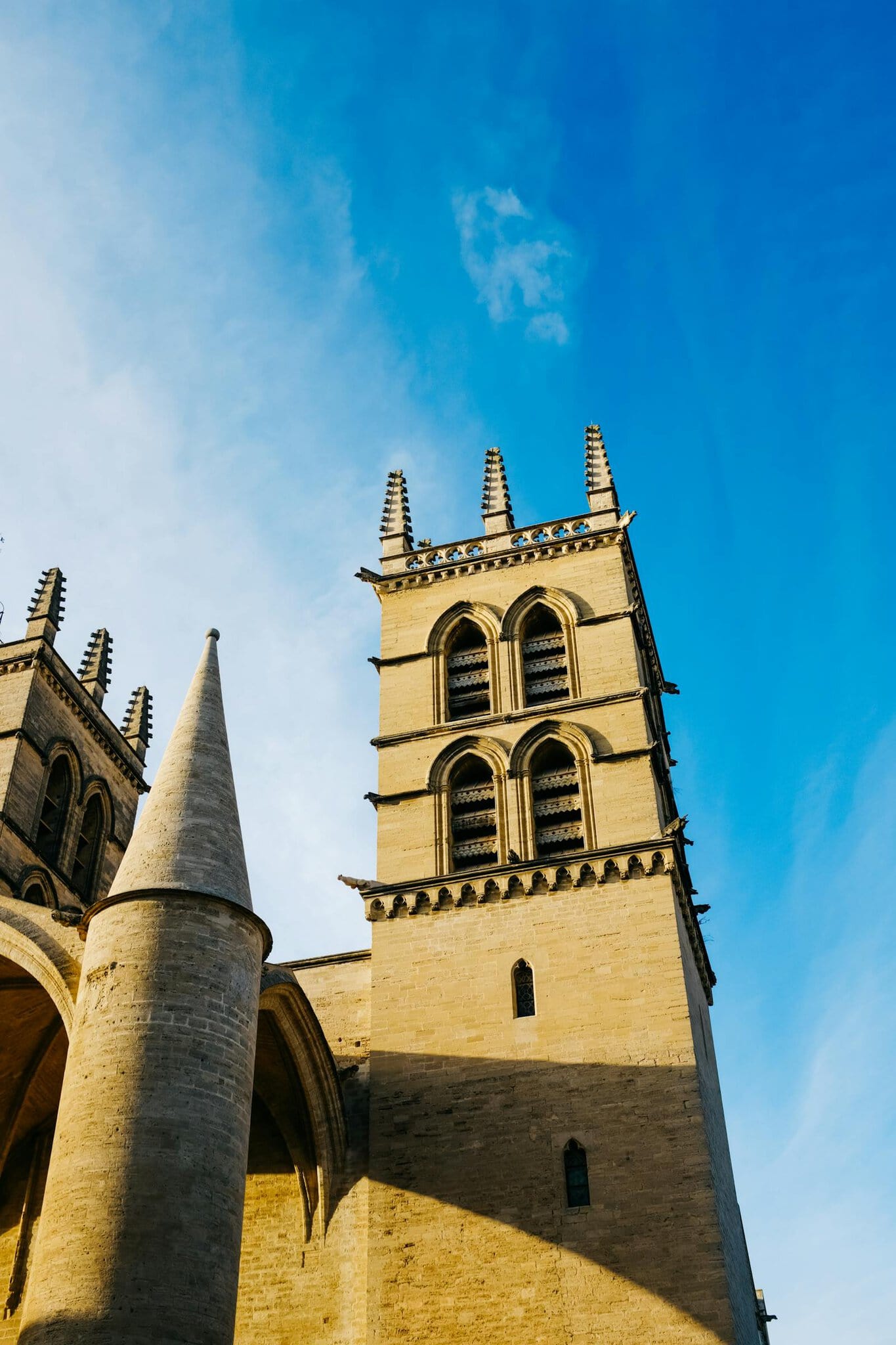 Montpellier, Franța: 13 lucruri de văzut și făcut în 2026 7 Catedrala Saint-Pierre și aspectul său de cetate
