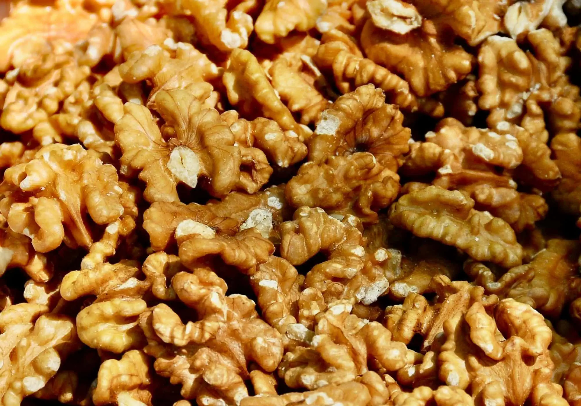 Dordogne we Francji: 15 pomysłów na zwiedzanie w 2026 18 Lokalna gastronomia i sady orzechowe