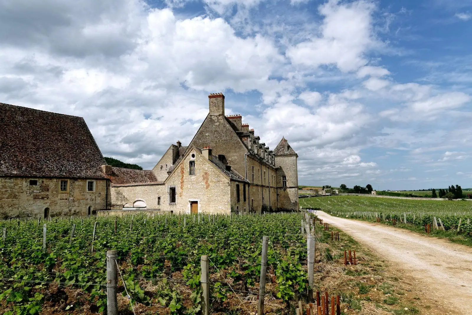 Burgundia, Francja: 13 wskazówek na wino i zabytki w 2026 roku 2 Burgundzka winnica ze starym gospodarstwem w słoneczny dzień