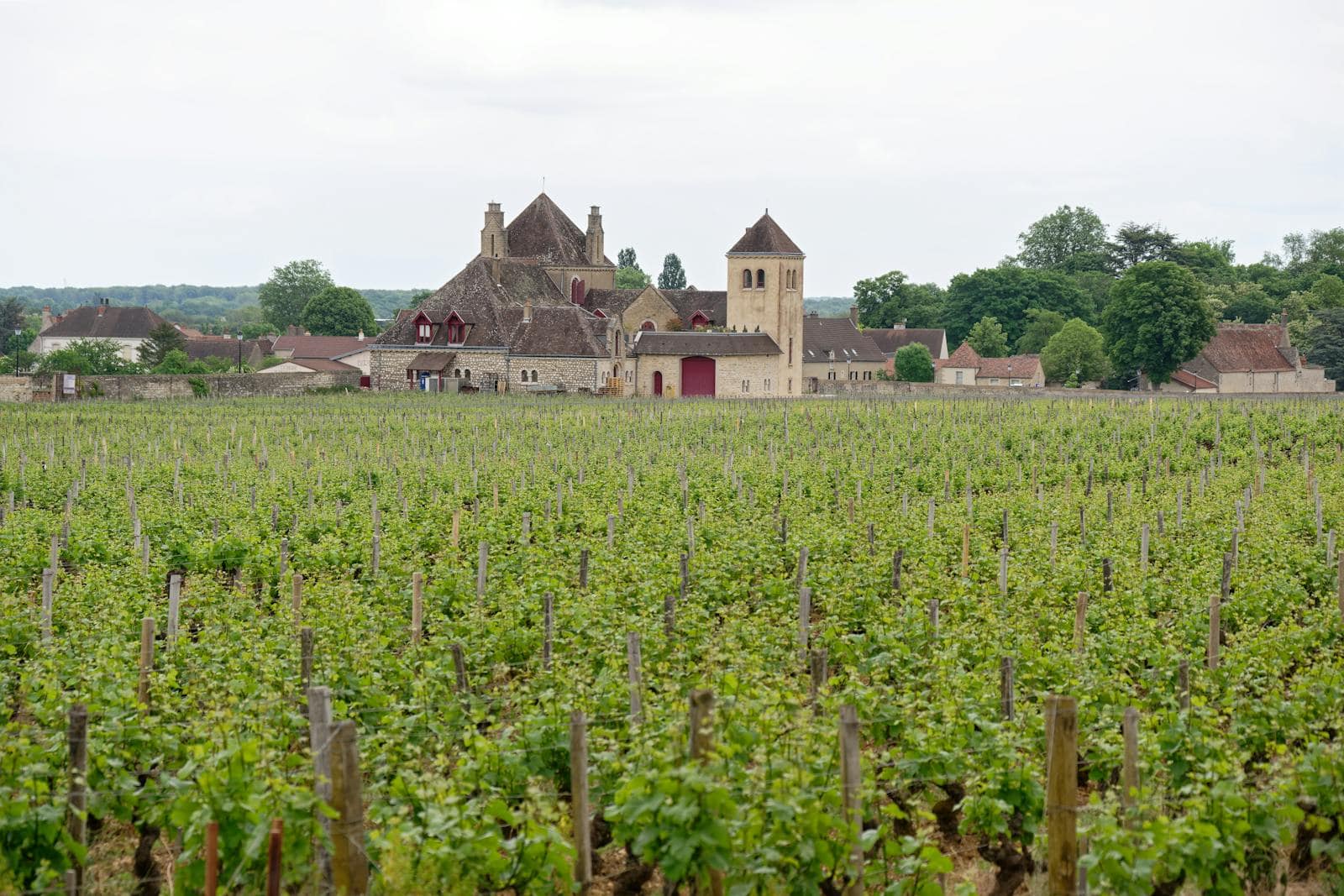 Château du Clos de Vougeot obklopený vinicemi