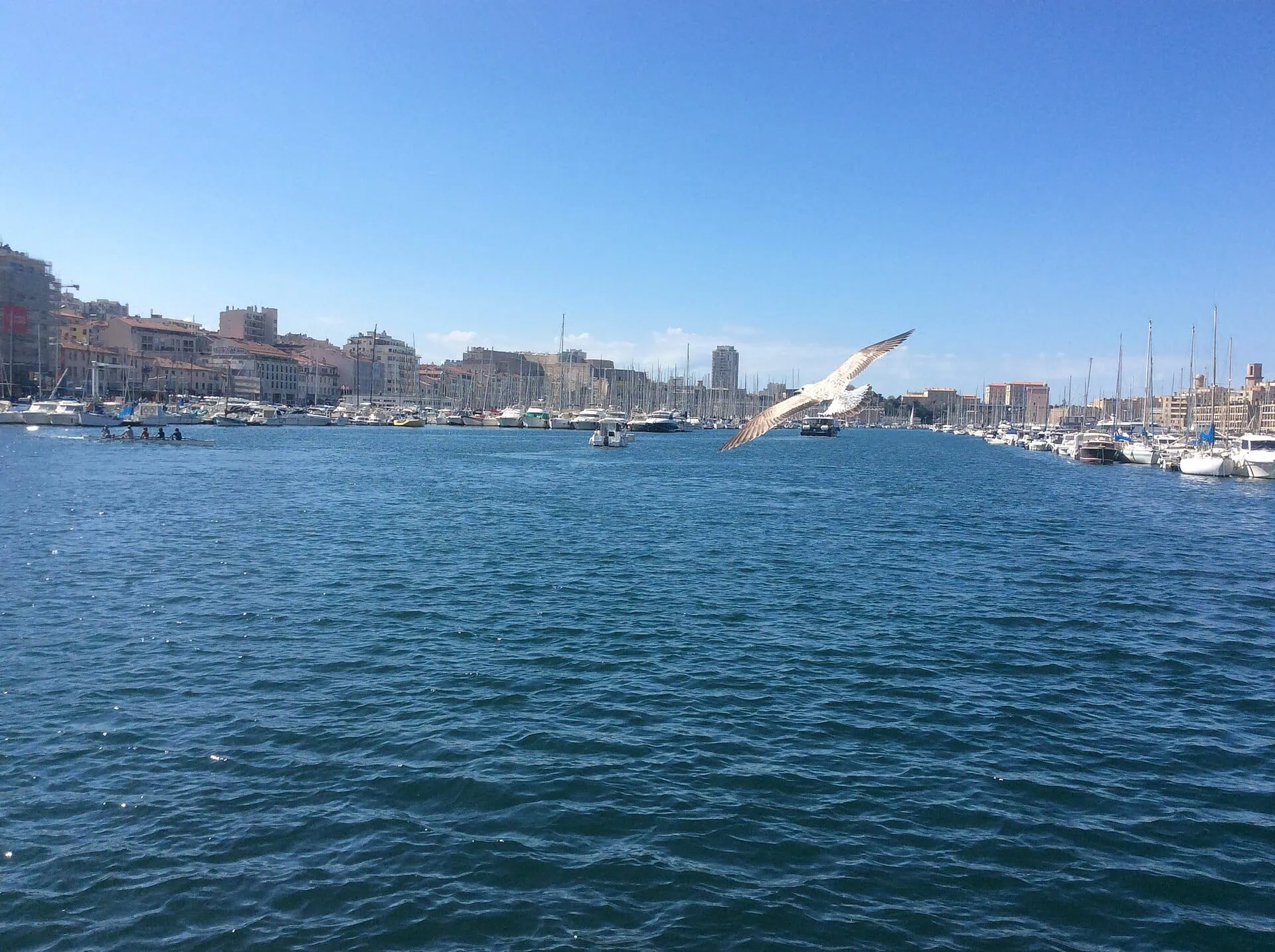 Road Trip in Southern France: A 7–10 Day Itinerary for 2026 9 The Vieux-Port old harbour in Marseille with the Notre-Dame de la Garde basilica
