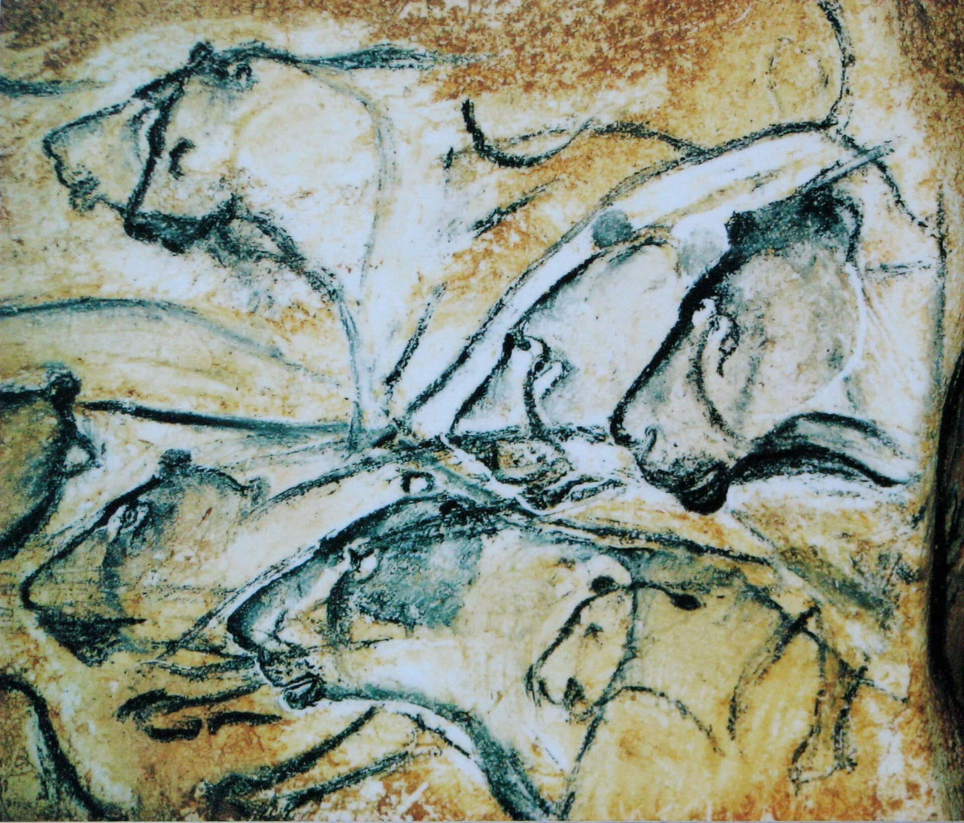 Ardèche, Francia: 12 cose da vedere e fare nel 2026 88 Pitture preistoriche di leoni nella grotta Chauvet