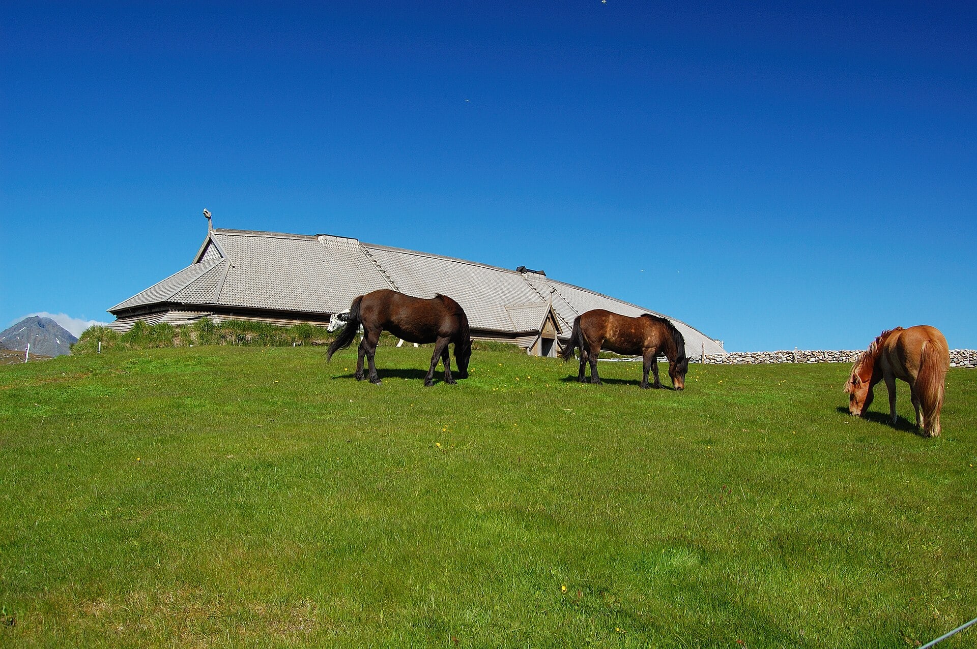 Lofotr Viking Museum: 6 lucruri pe care trebuie să le știi 7 Drumul spre Borg, la muzeu