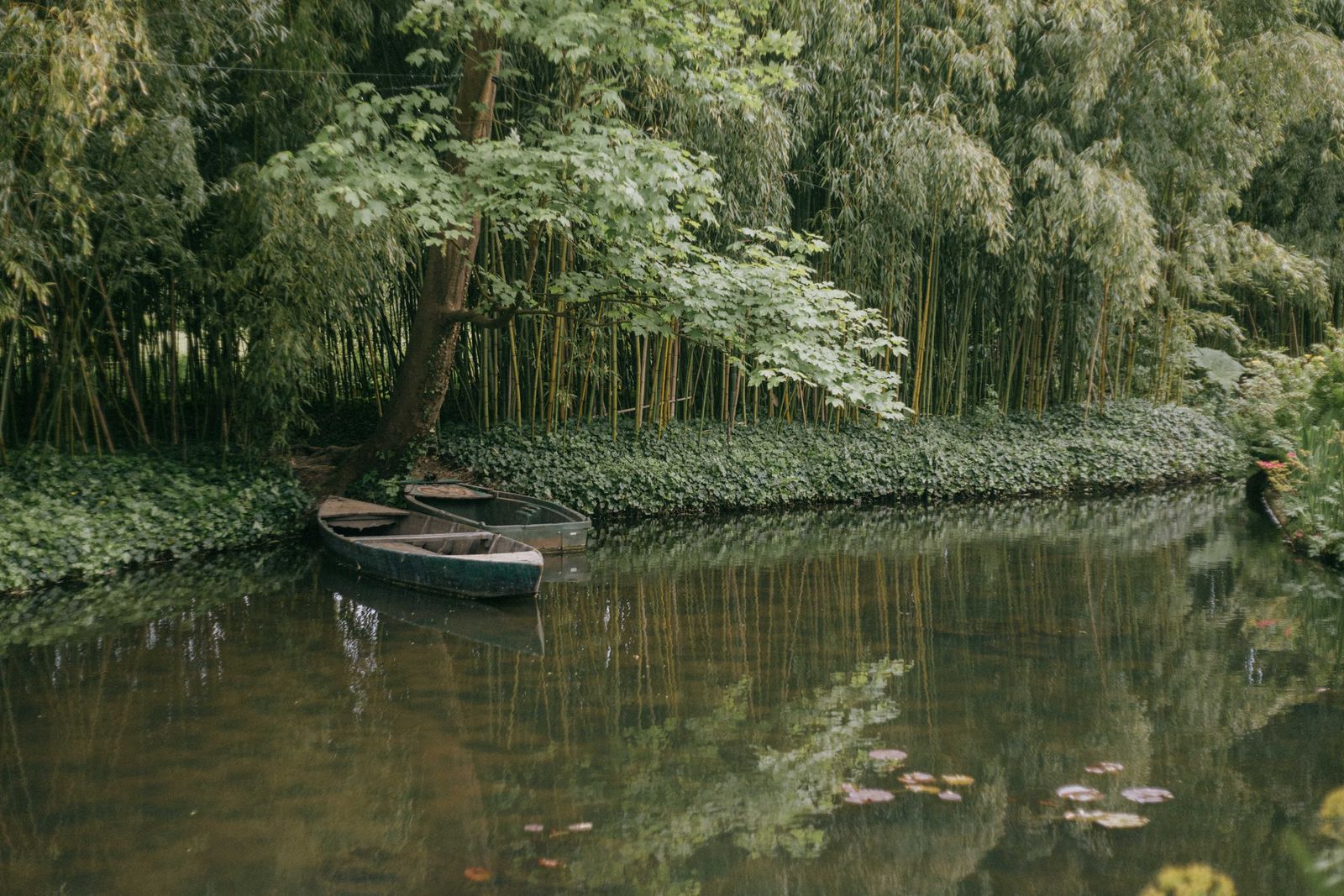 Il giardino di Monet con le ninfee a Giverny