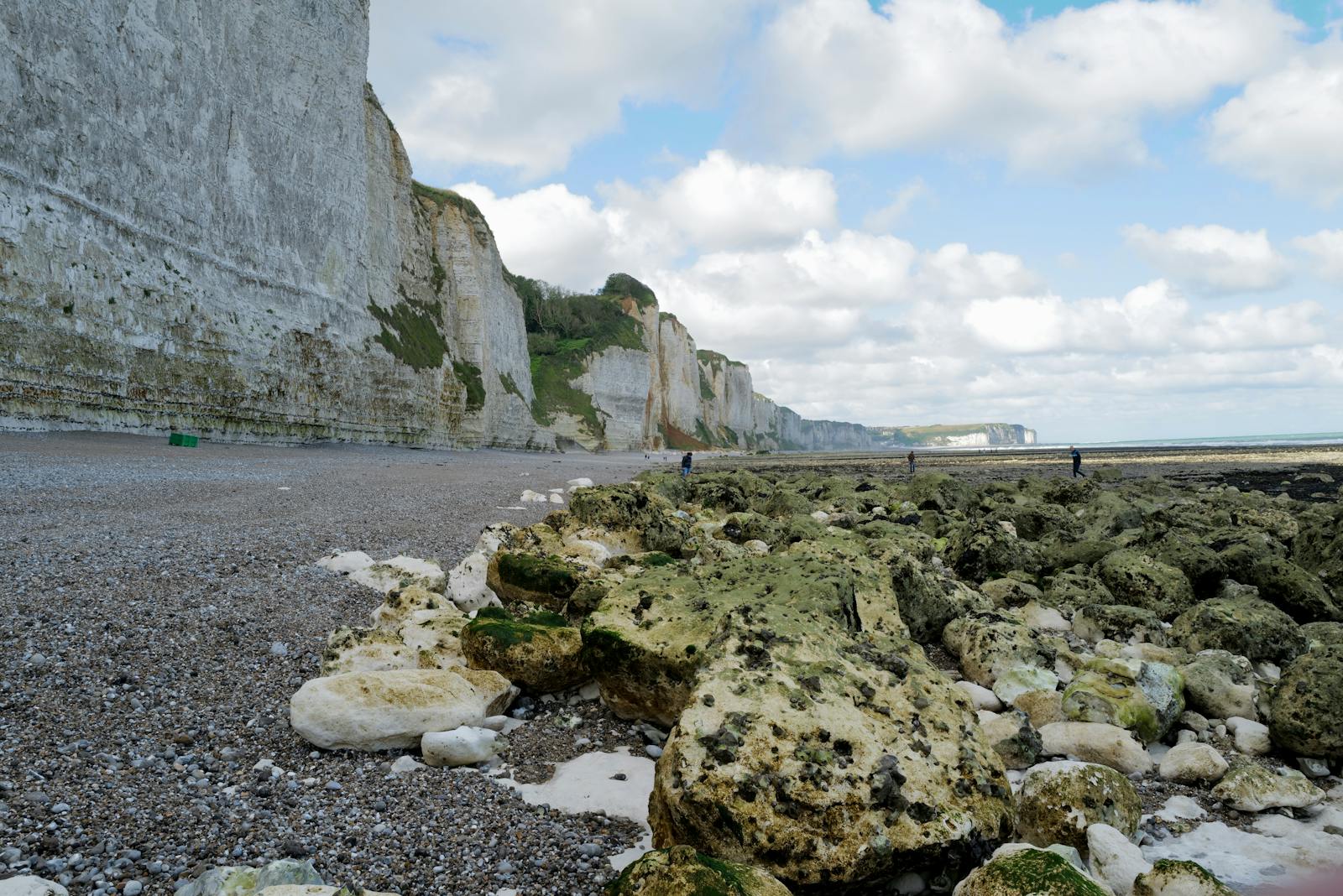 Scogliere di gesso della costa normanna