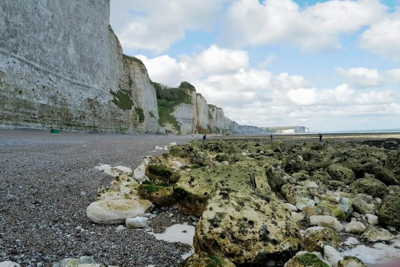 Normandia, Francia: 15 cose da vedere e fare nel 2026 2 Scogliere di gesso della costa normanna