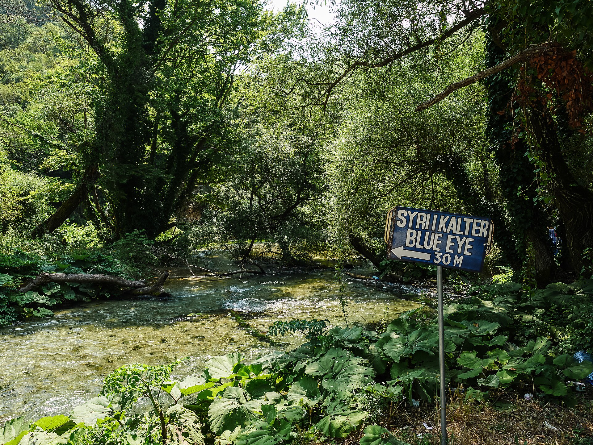 Modré oko (Syri i Kaltër)