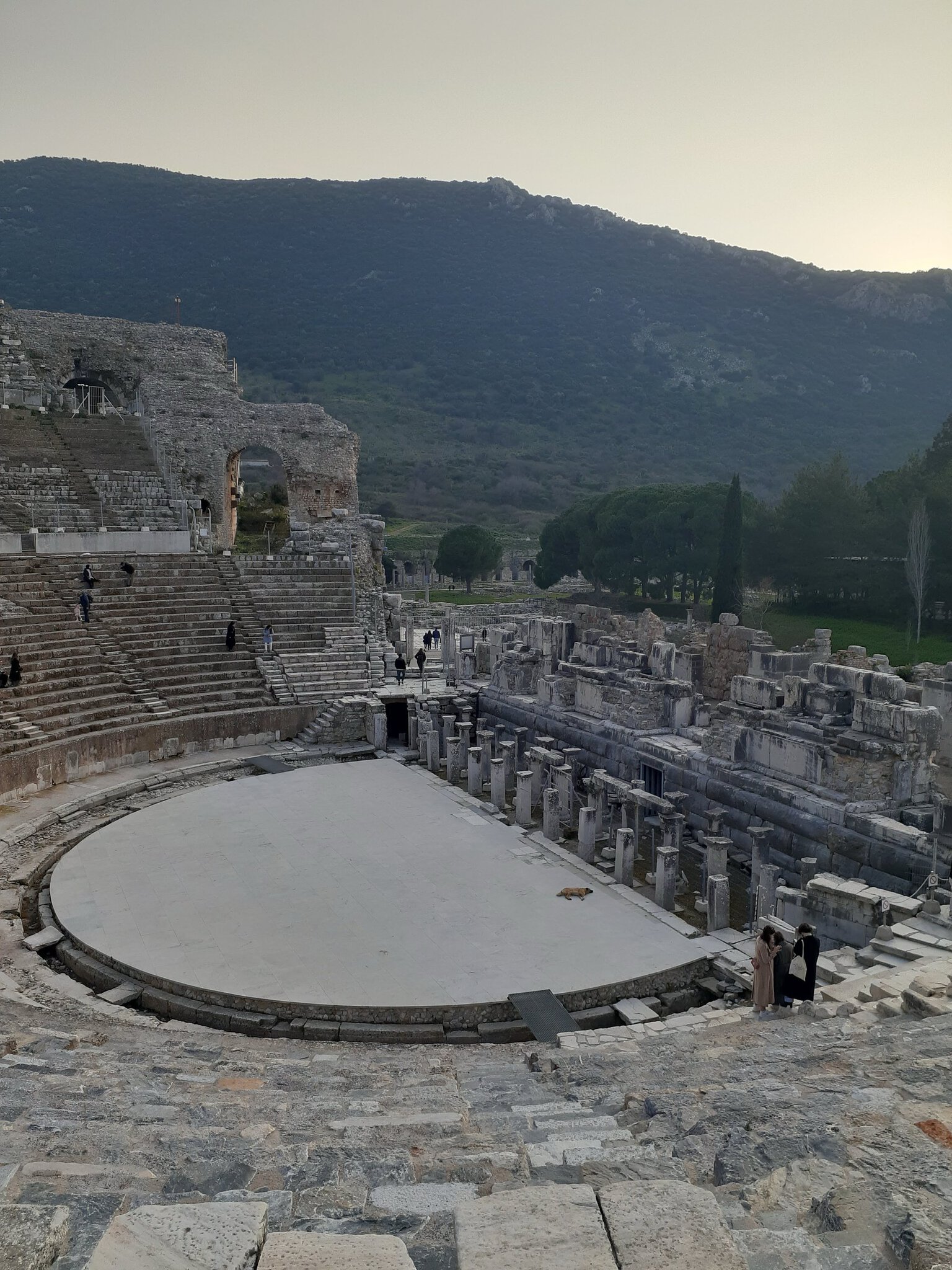 Efes (Ephesus): 13 sfaturi pentru orașul antic și împrejurimi în 2026 4 Marele teatru pentru 25.000 de spectatori