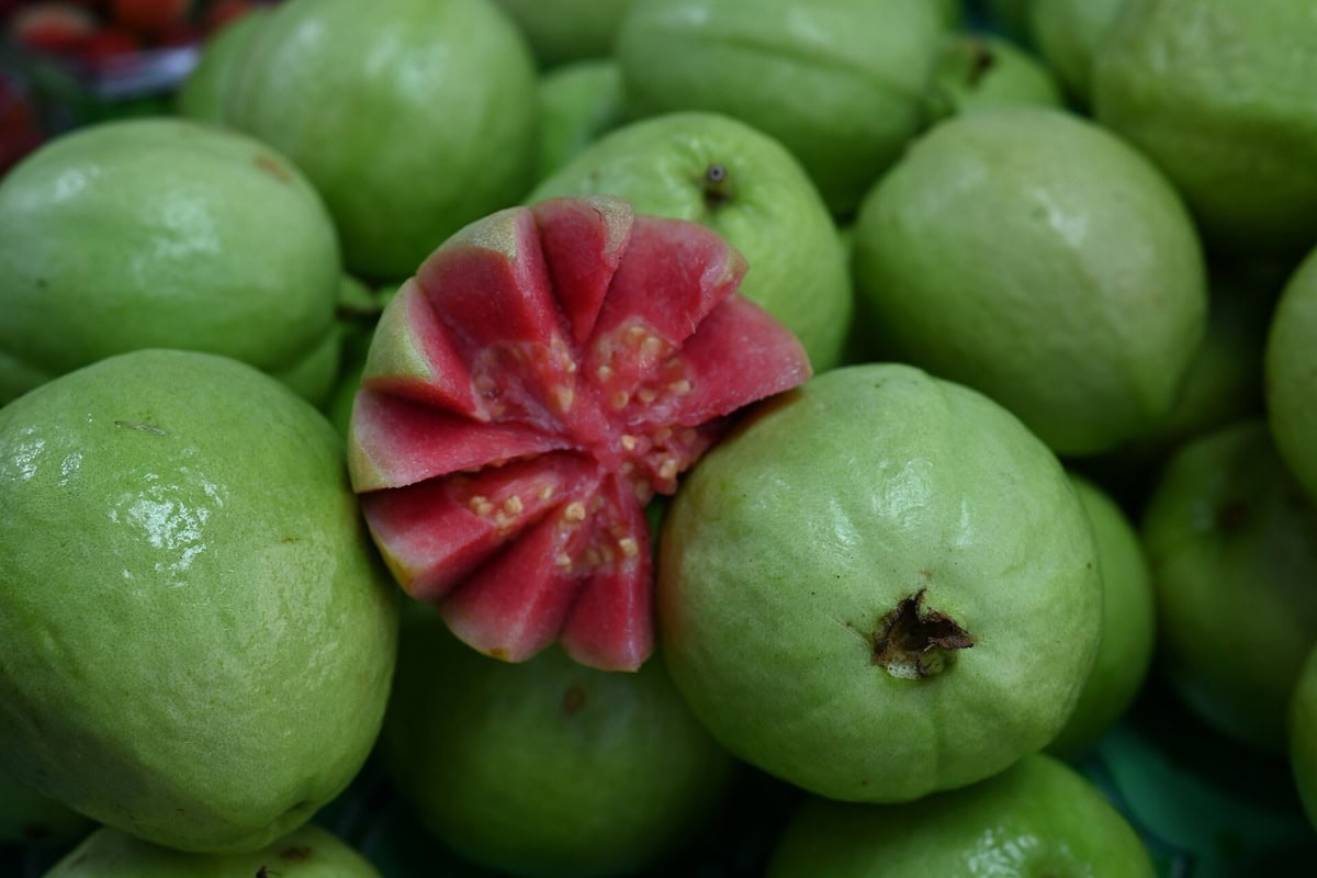 Eksoottiset hedelmät: 18 lajia, jotka sinun on maistettava 11 Guava vaaleanpunaisella hedelmälihalla