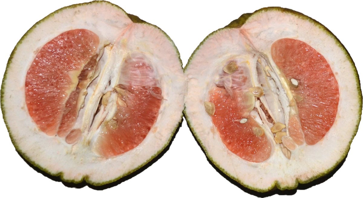 Eksoottiset hedelmät: 18 lajia, jotka sinun on maistettava 18 Pomelo halkaistuna