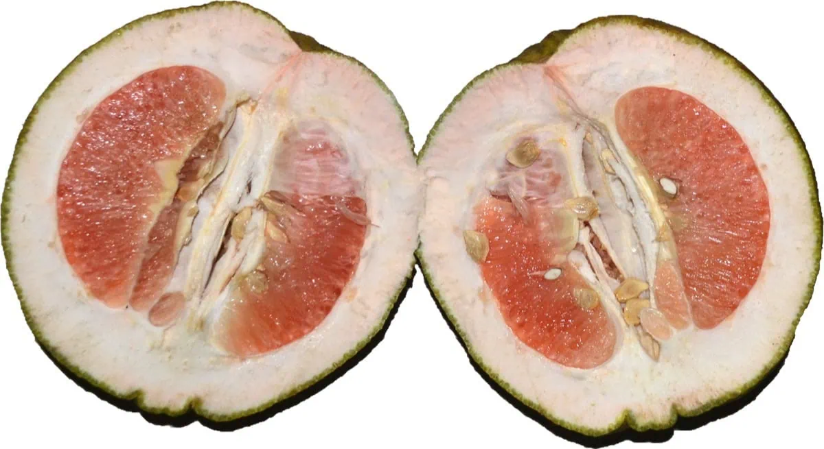Exotické ovoce: 18 druhů, které musíte ochutnat 18 Pomelo rozříznuté napůl