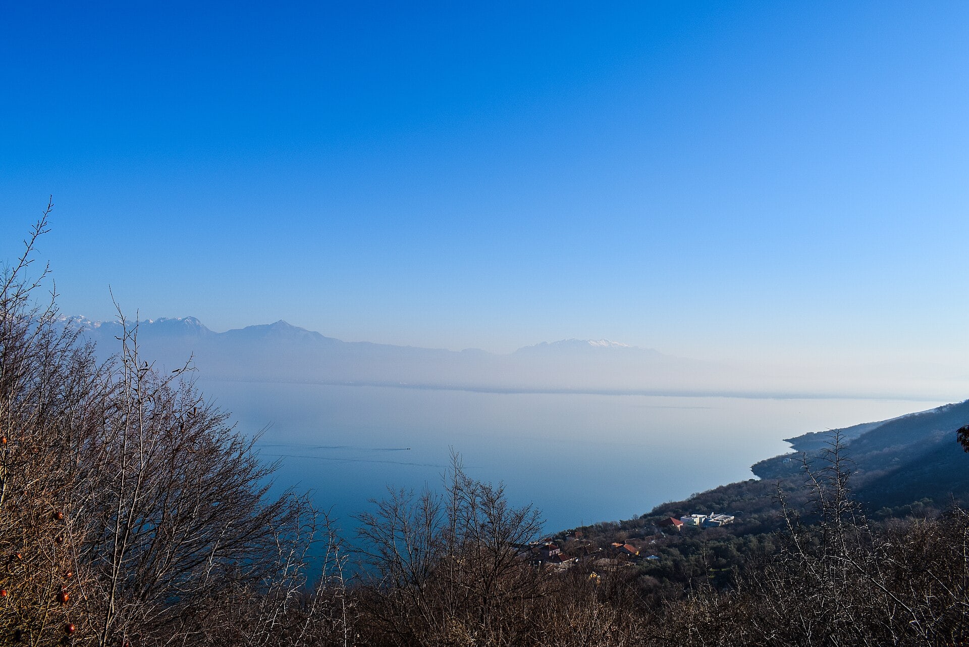 Munții Blestemați din Albania: 10 sfaturi pentru Theth, Valbona și nordul sălbatic 2026 4 Lacul Shkodra și paradisul ornitologic