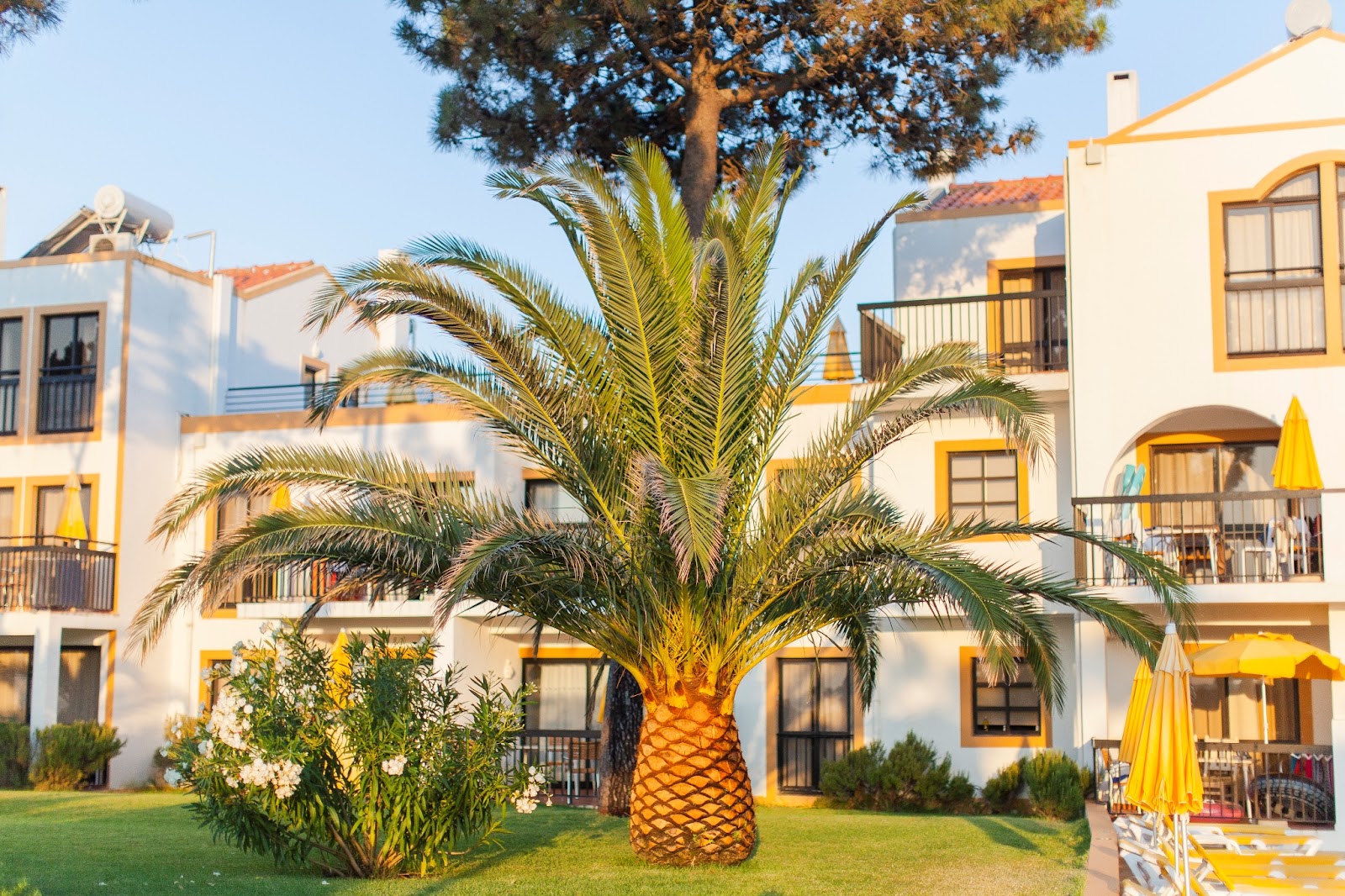 Hoteles familiares en el Algarve (Portugal): 14 mejores alojamientos para 2026 5 Hotel Alfagar Village