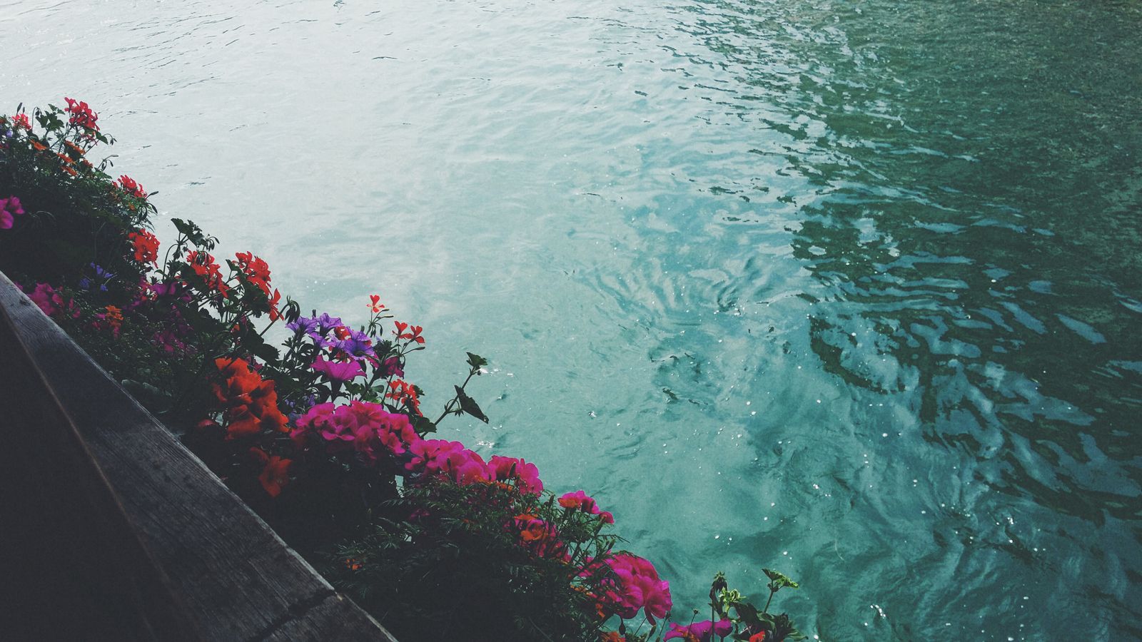 Lauterbrunnen: 12 tipů, co vidět v údolí 72 vodopádů 14 Allmendhubel a Flower Park