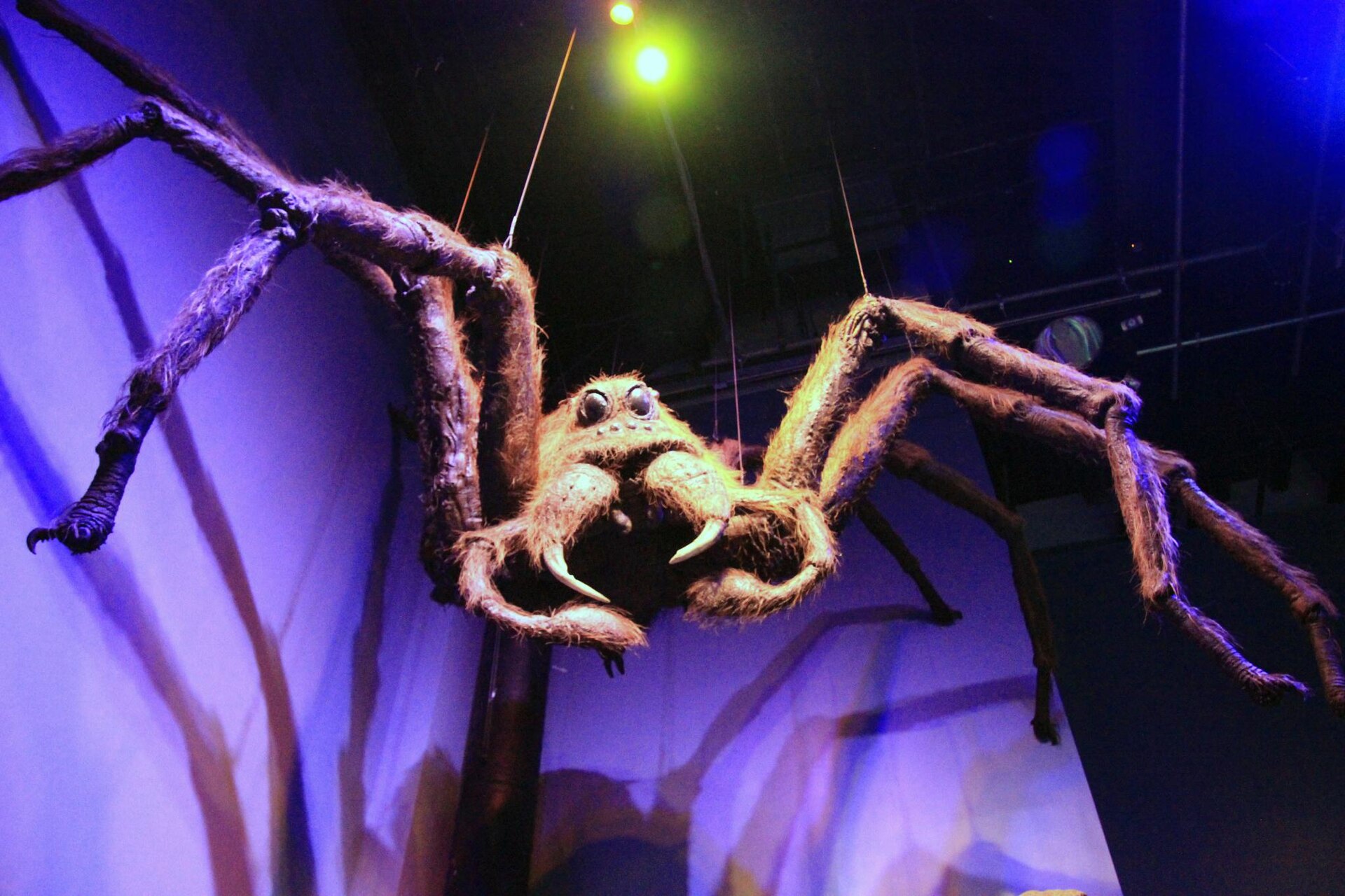 Harry Potter Studio Londen: tickets, prijzen en 14 tips in 2026 10 Animatronica en magische wezens