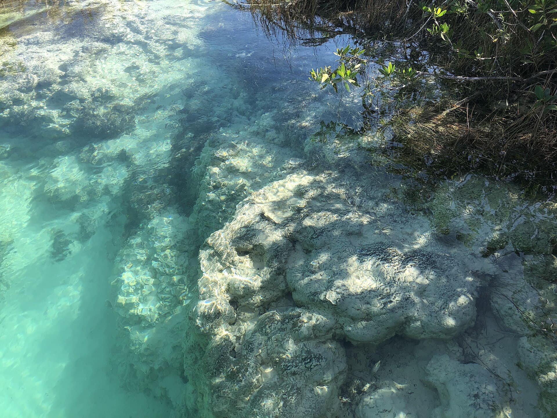 Laguna di Bacalar in Messico: 10 cose da fare + dove mangiare 9 Stromatoliti nella laguna di Bacalar