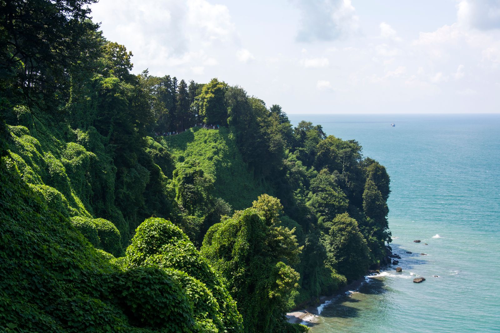 Batumi, Georgia: 22 Things to See & Do on the Black Sea in 2026 25 Green Cape Botanical Garden (Mtsvane Kontskhi)