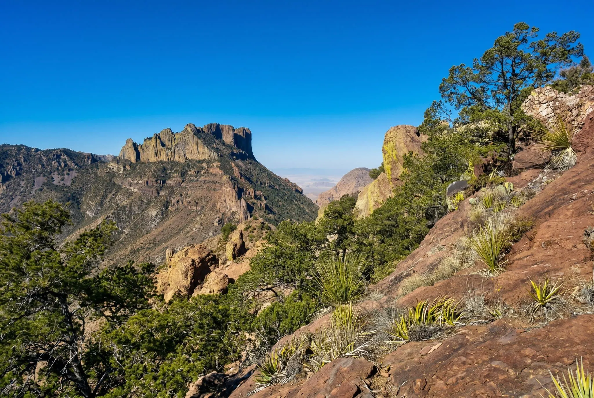 Il panorama dal Lost Mine Trail sulle Chisos Mountains