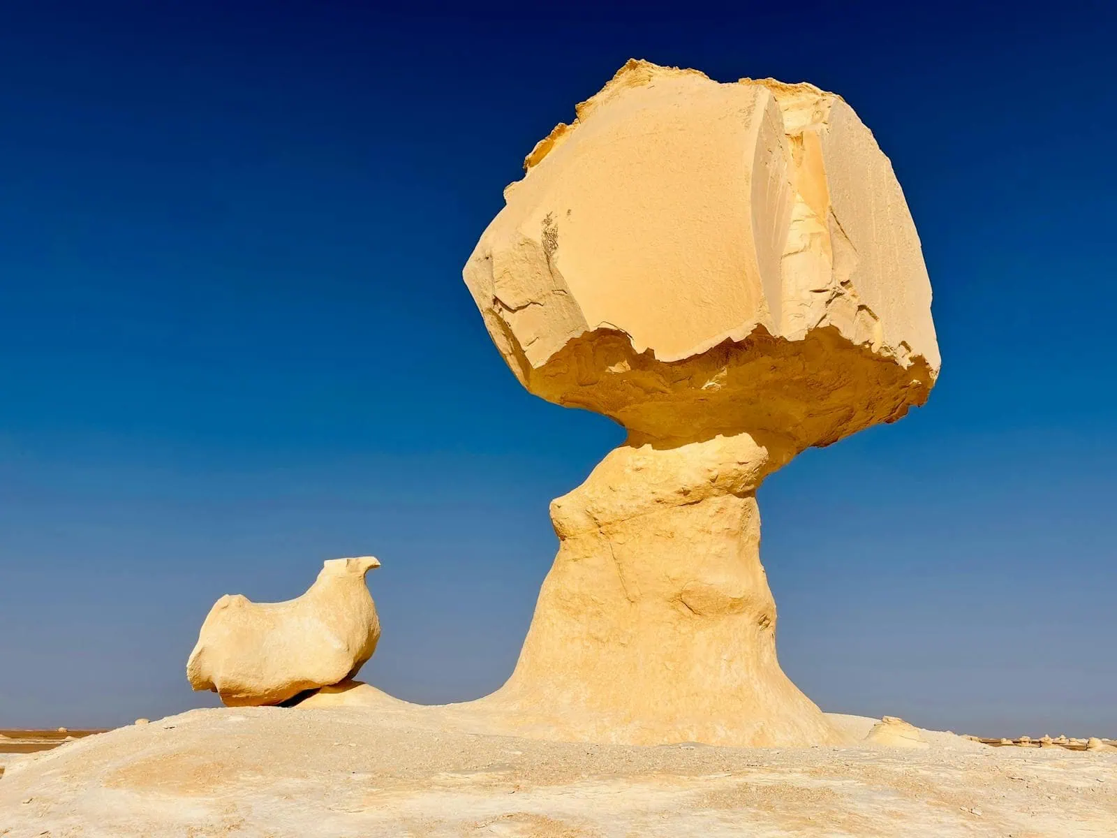 Where to Holiday in Egypt: 20 Best Places to Visit in 2026 21 The White Desert in Egypt