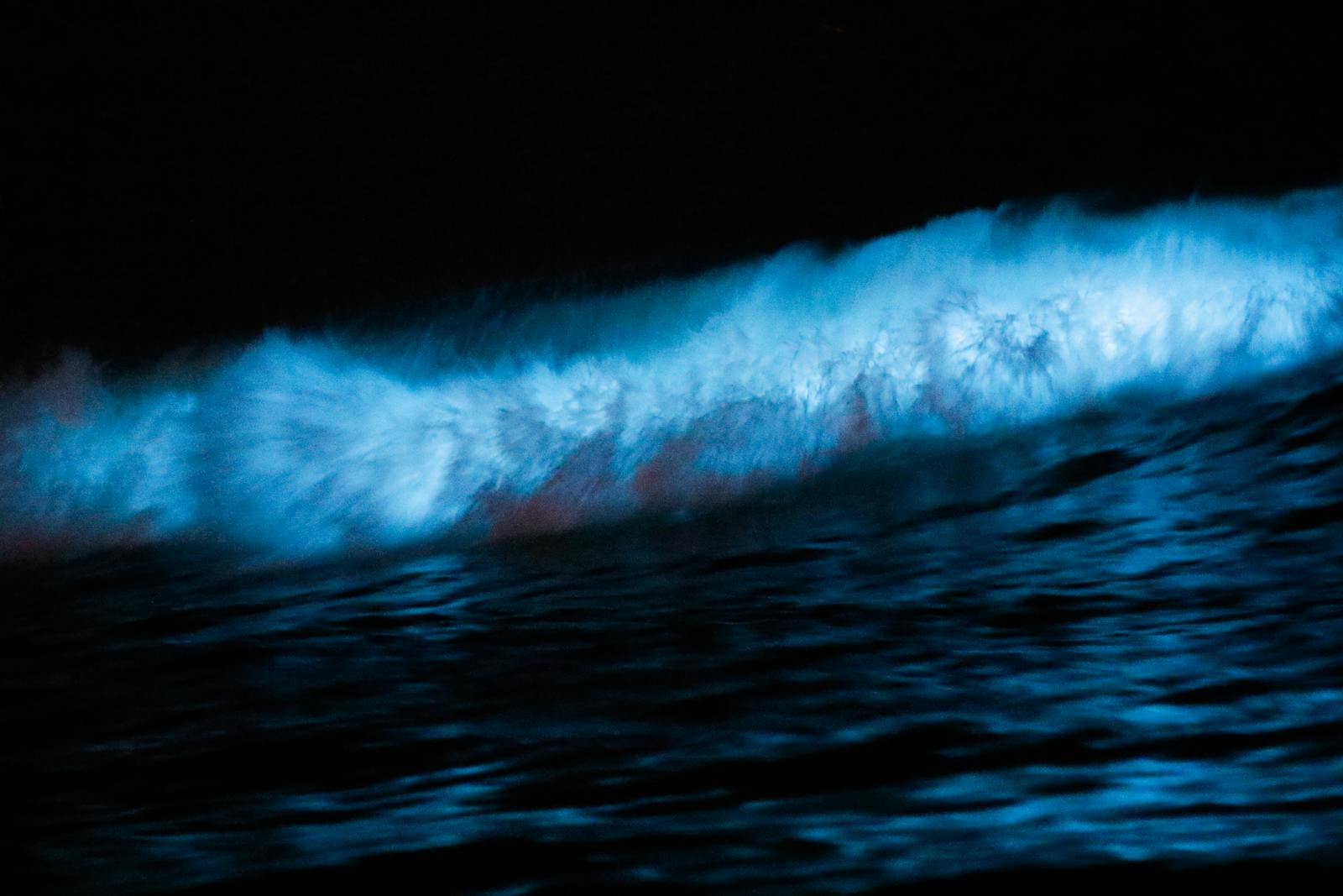 Puerto Escondido: surfing, plaże i 12 wskazówek 2026 7 Bioluminescencja w lagunie