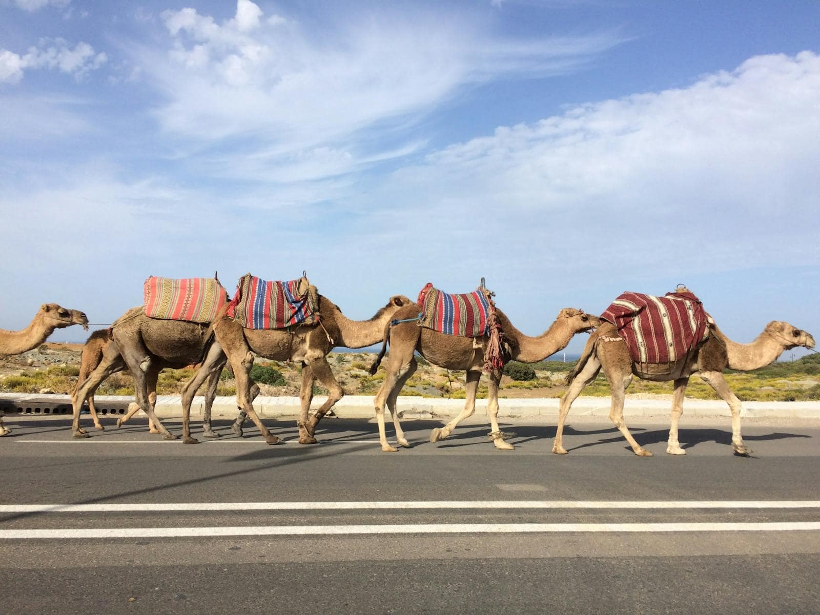 Bodrum, Turcia: 12 lucruri de văzut + împrejurimi în 2026 10 Plajele peninsulei: Bitez, Gümbet, Camel Beach