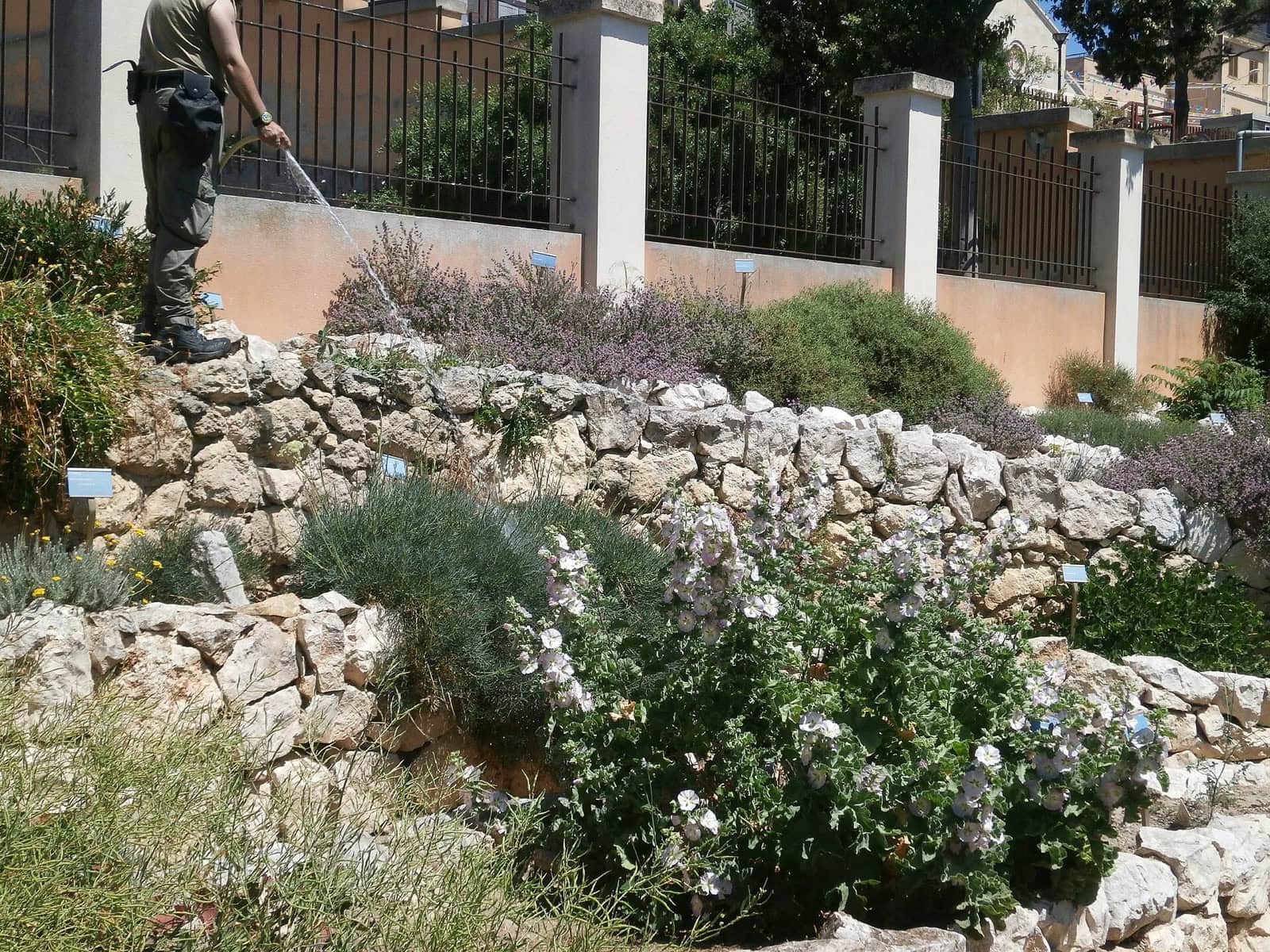Cagliari, Sardinia: 13 Things to See and Do in 2026 10 The Orto Botanico botanical garden in Cagliari