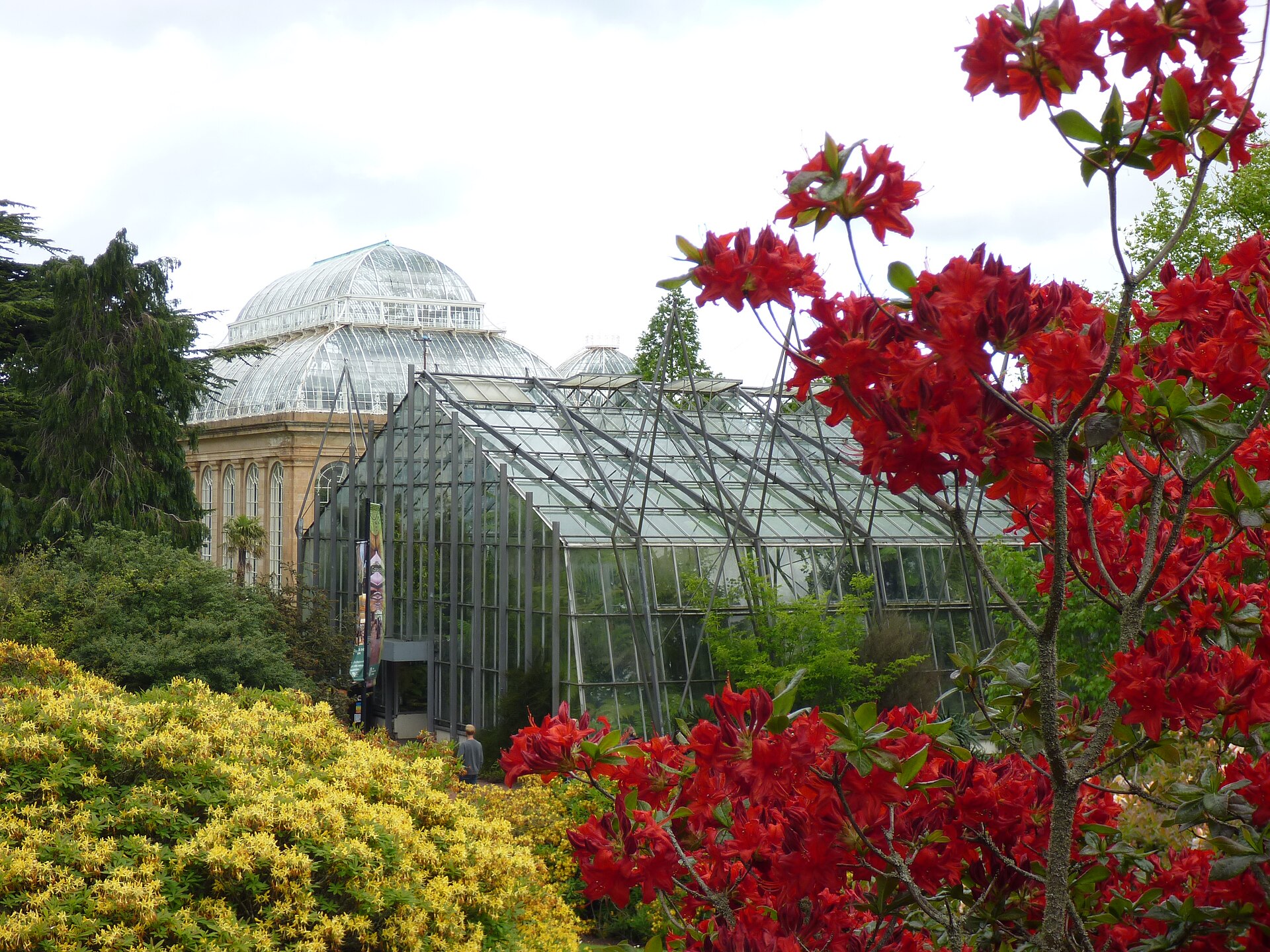 Édimbourg : 31 choses à voir et à faire en 2026 24 Les serres du Royal Botanic Garden d'Édimbourg
