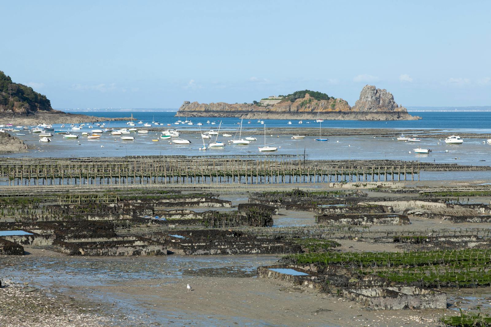 Cancale a slavny ustricovy trh