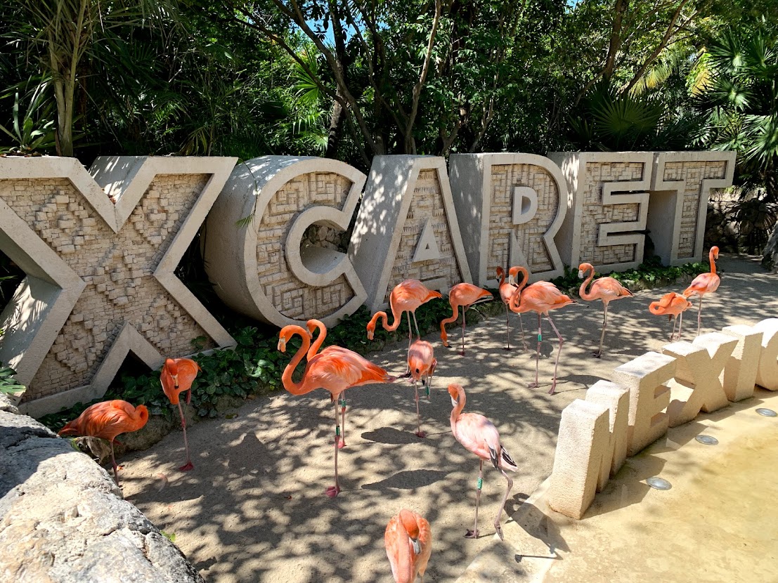 Vstup do eko-parku Xcaret s plameňáky