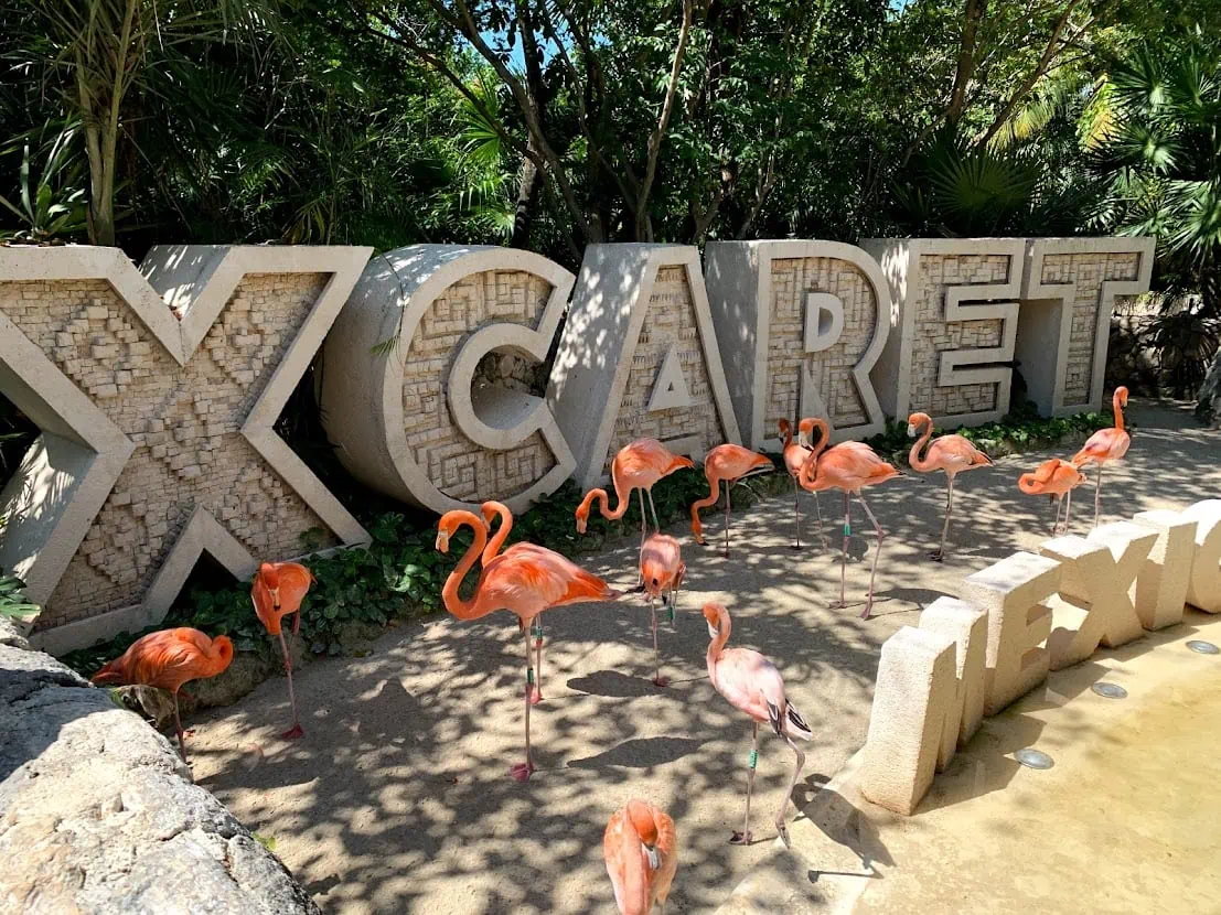 Cancún dovolená: 14 tipů, co vidět a kde se ubytovat 12 Vstupní nápis eko-parku Xcaret s plameňáky