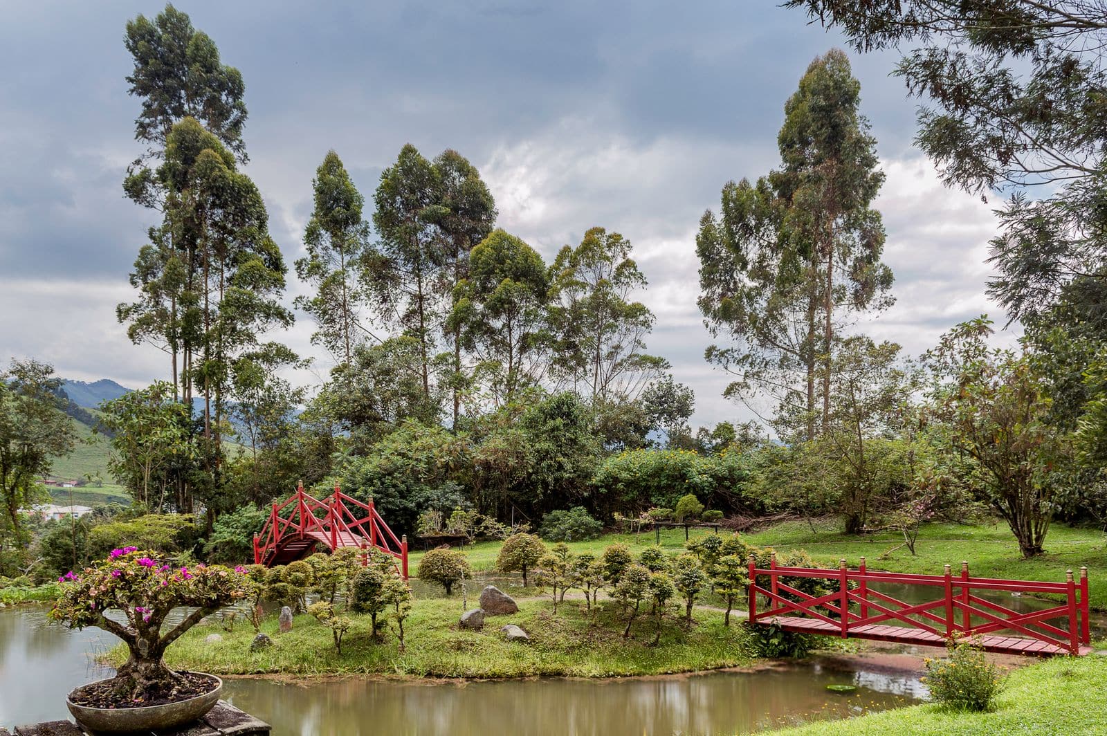 San Miguel de Allende: 12 sfaturi + orașul colonial Bajío 5 Grădina botanică El Charco del Ingenio