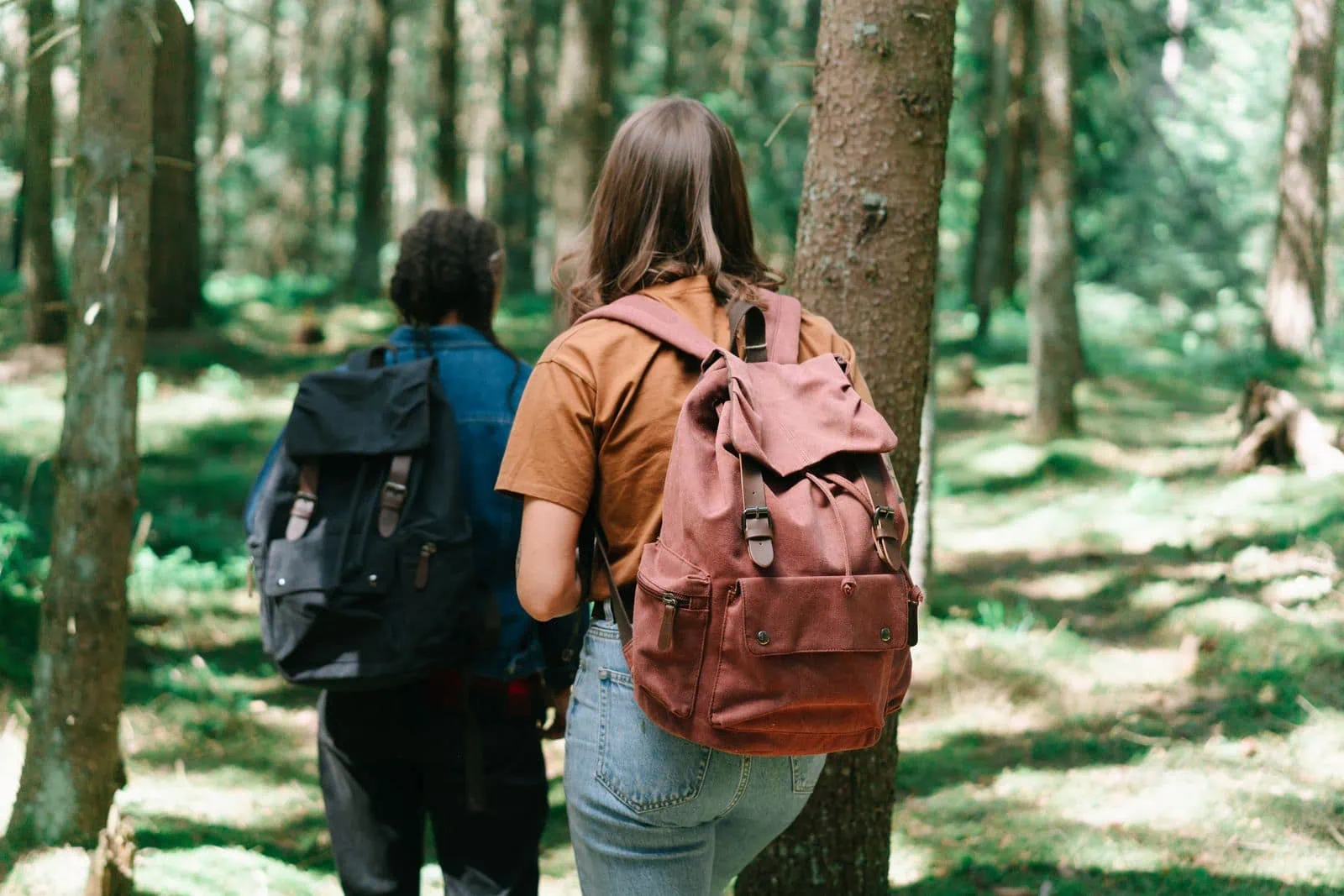 Co si vzít do Laponska: jak se obléct na arktickou zimu 6 Letní trek v Laponsku s batohem